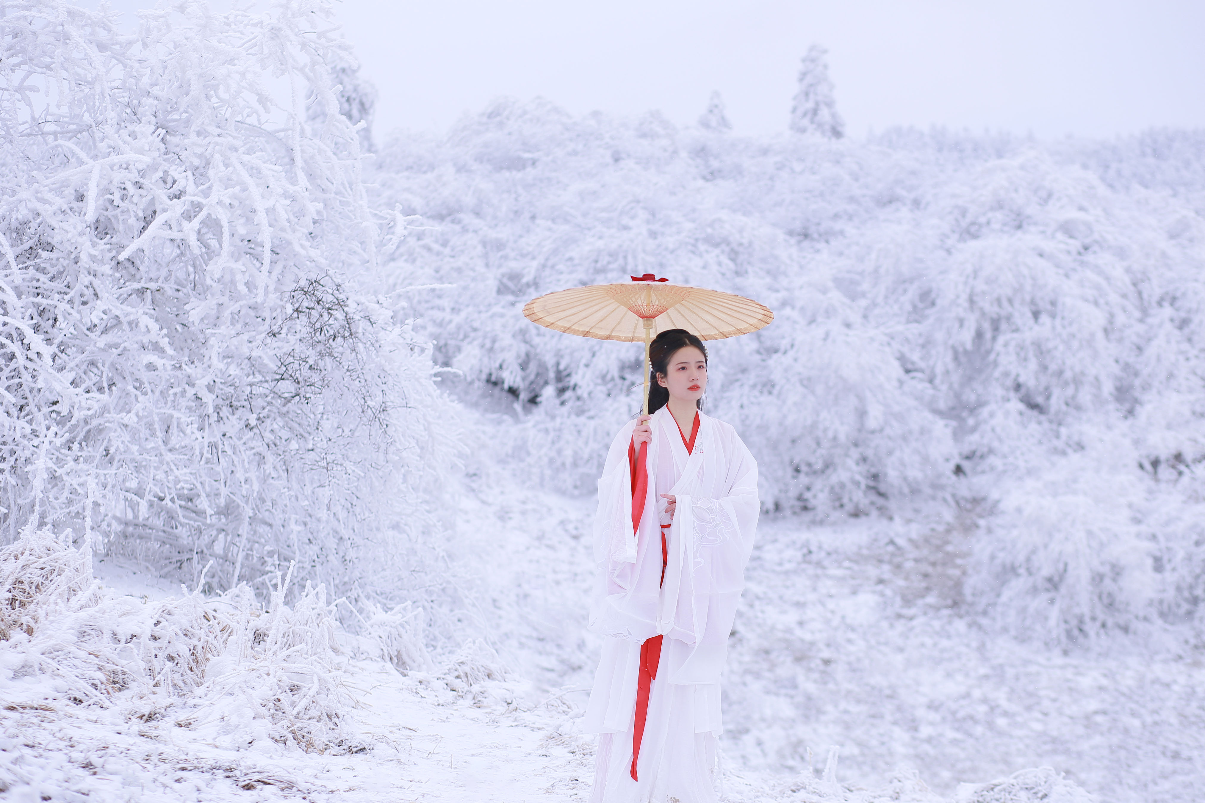 山中雪后 雪景 美女 古风 冬天