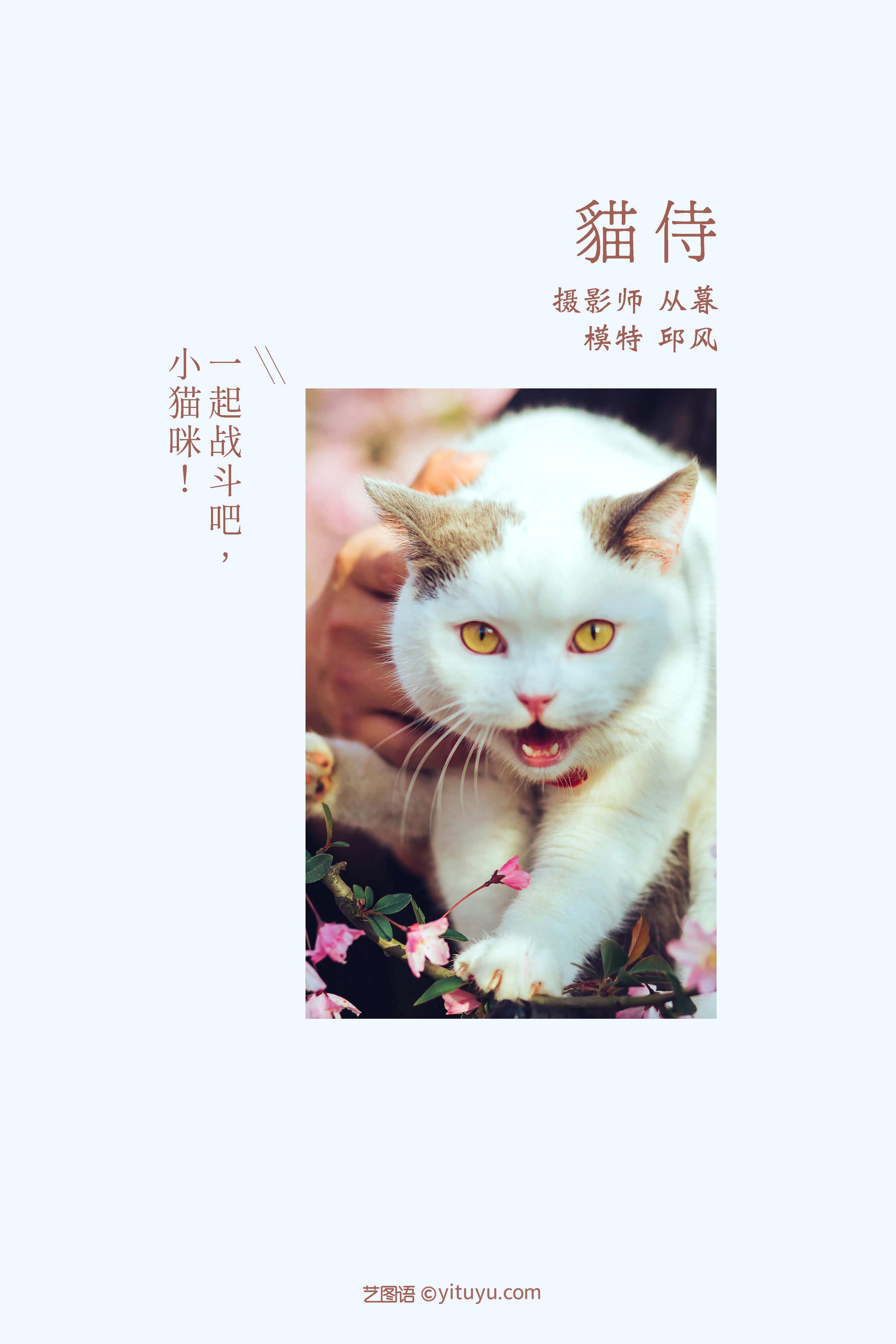 猫侍 武侠 男生 古风 艺术