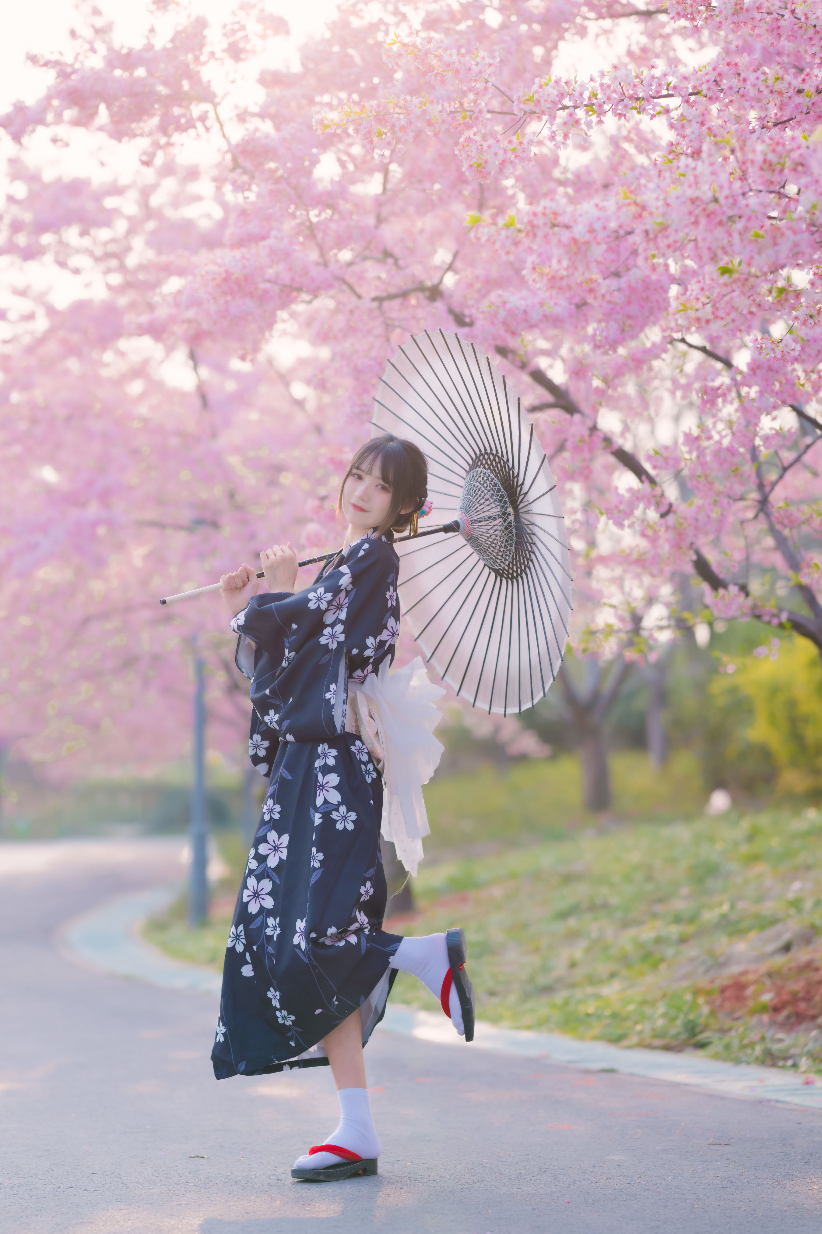 樱花烂漫时 日系 小清新 樱花 日式和风 花 精美