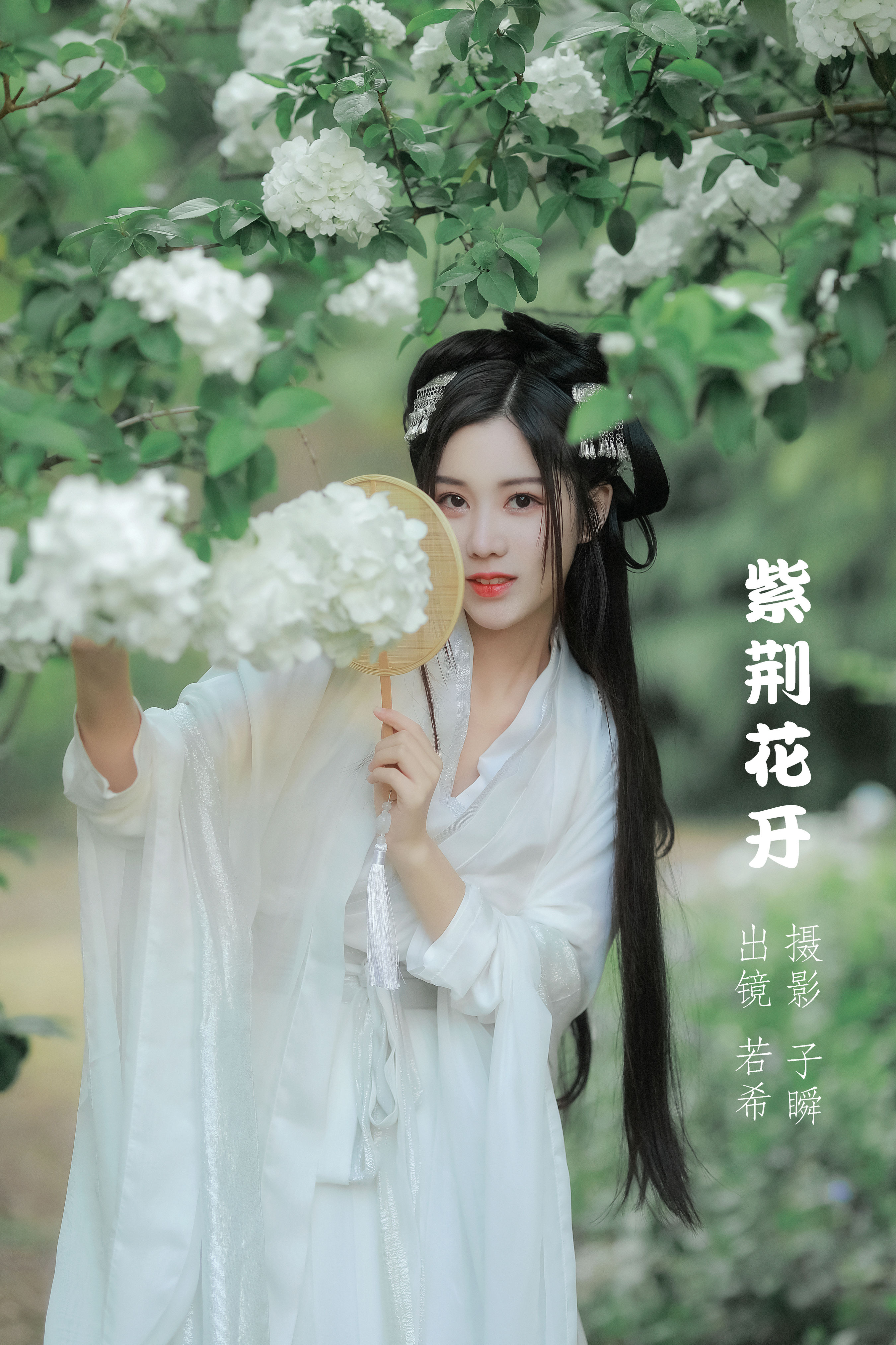 紫荆花开 小仙女 花 古风 唯美 小清新