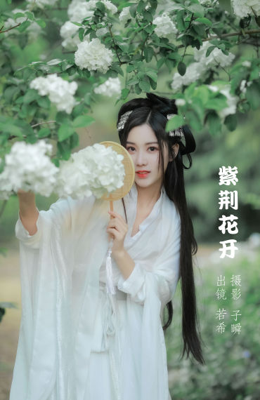 紫荆花开 小仙女 花 古风 唯美 小清新