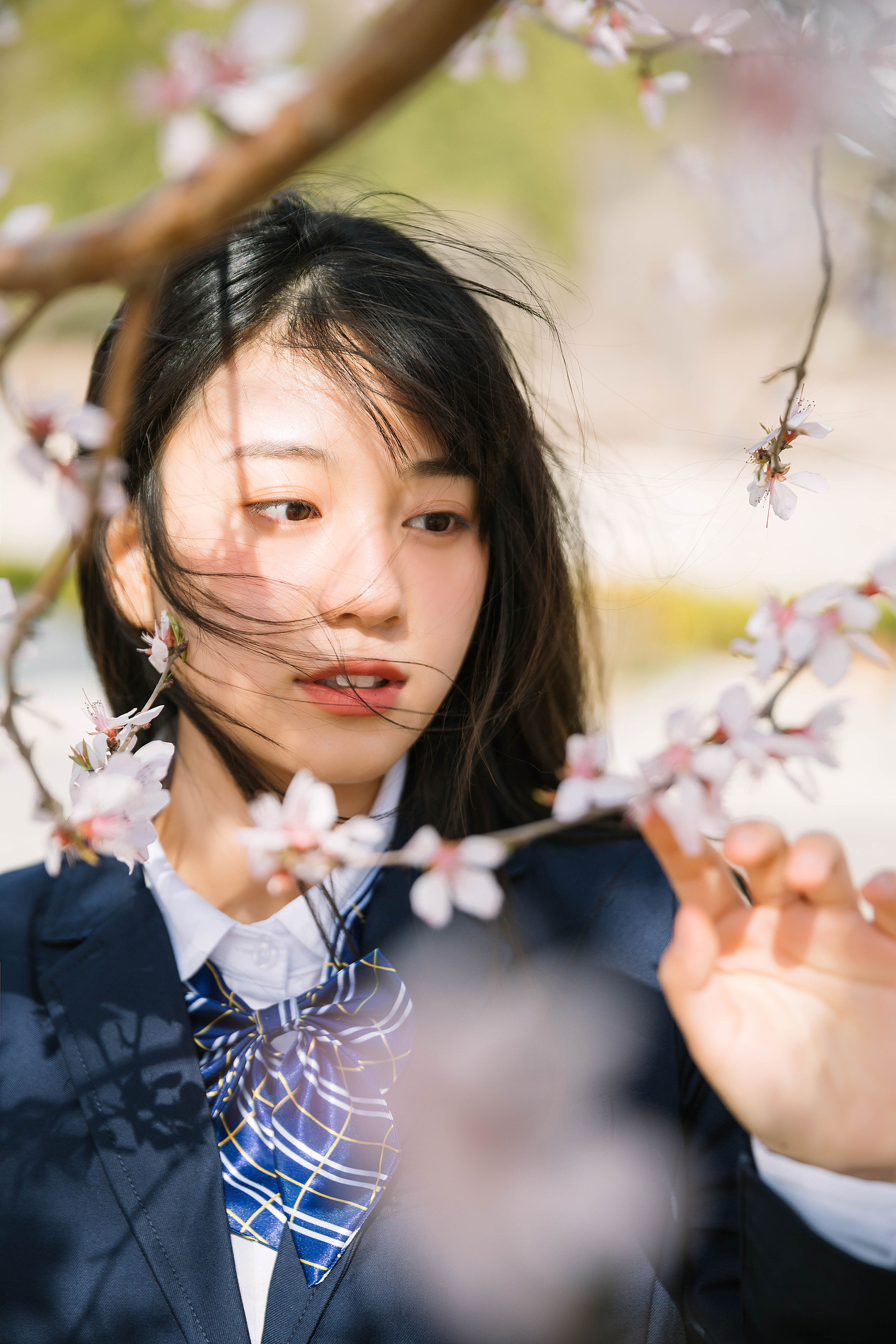 花季少女 少女 日系 樱花 学院风 花 优美