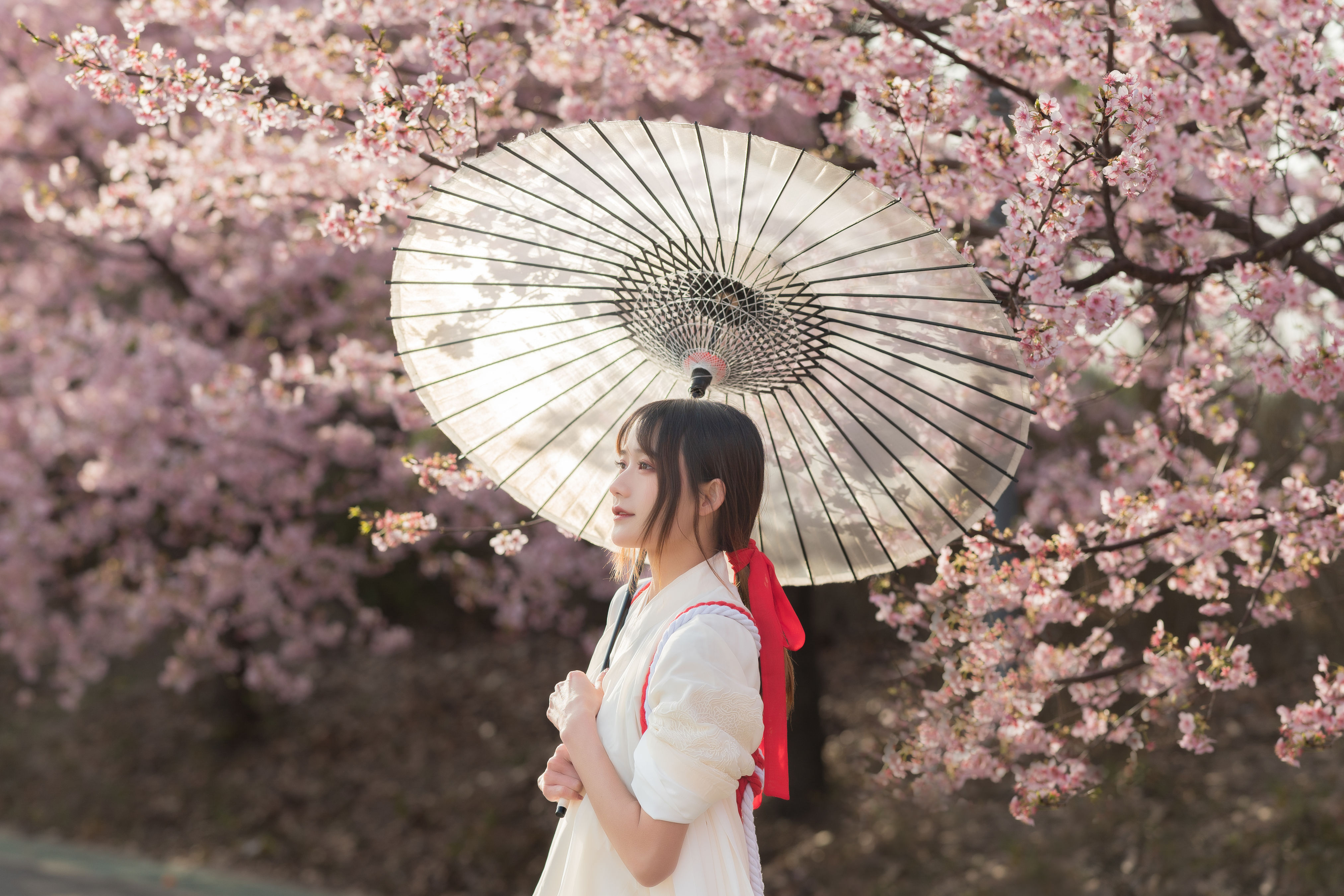 樱语 樱花 花 神明少女 古装 精美 小清新