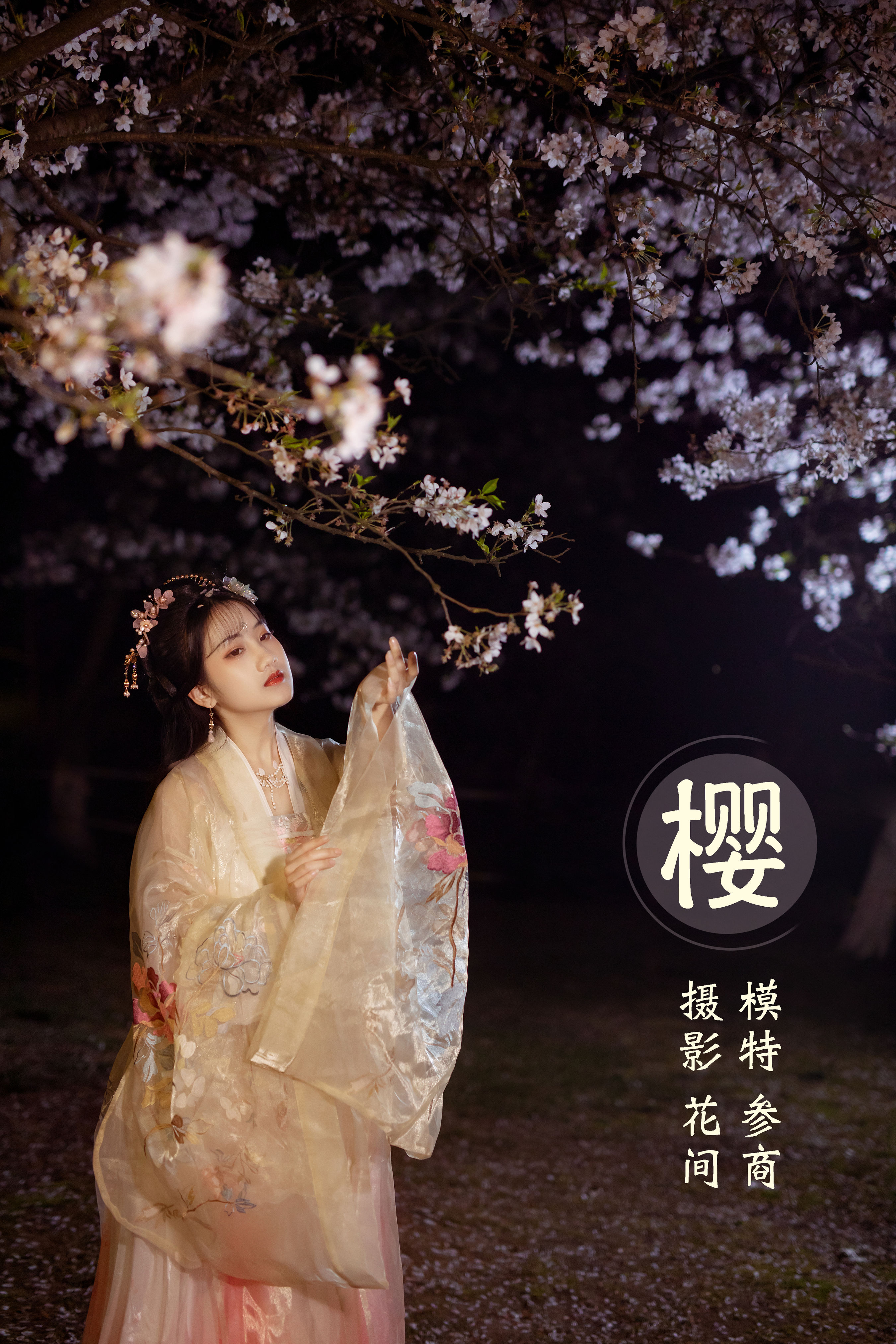 樱 夜景人像 樱花 古风 花