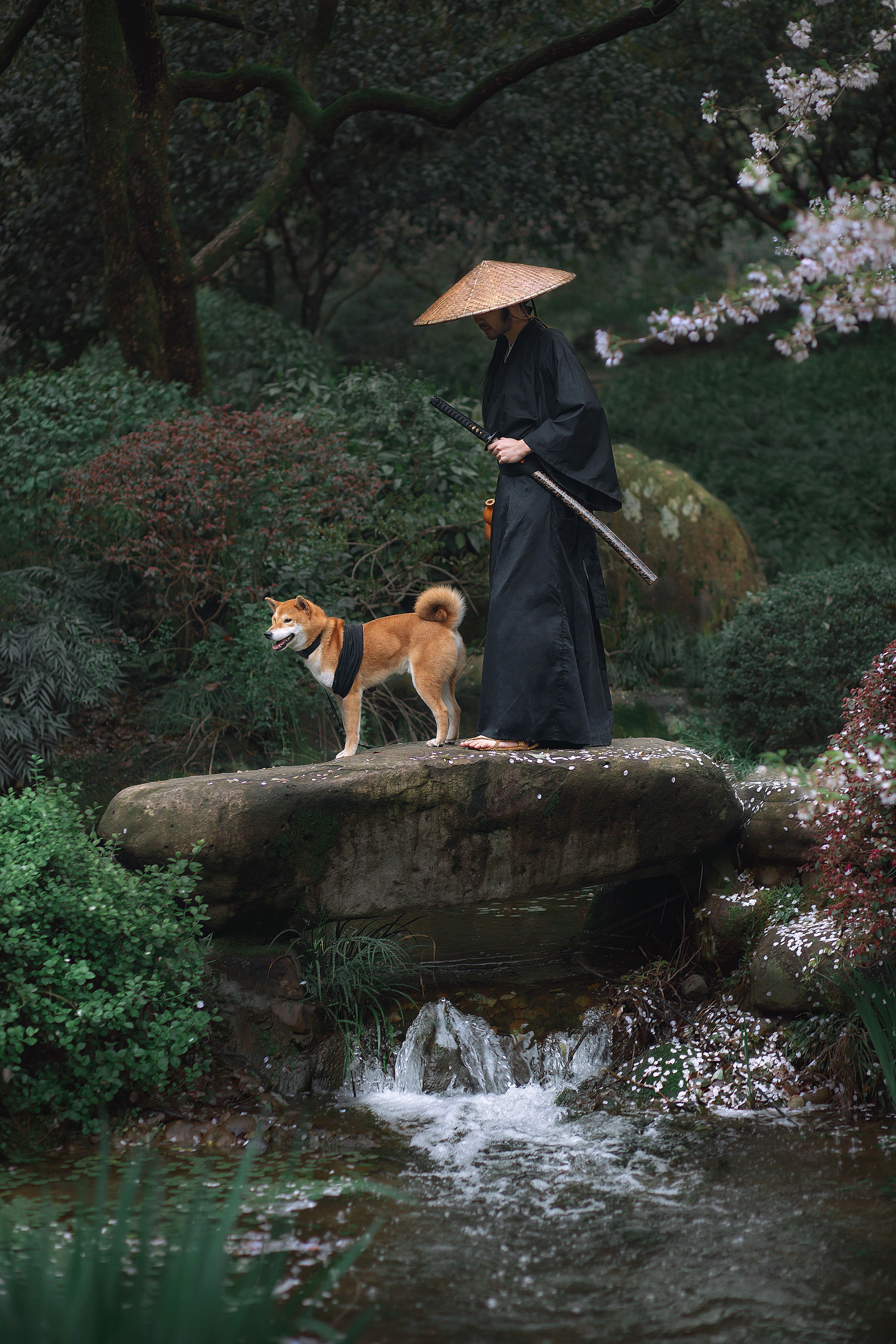 犬侍 意境 艺术 创意 古风 武侠 男生 山林