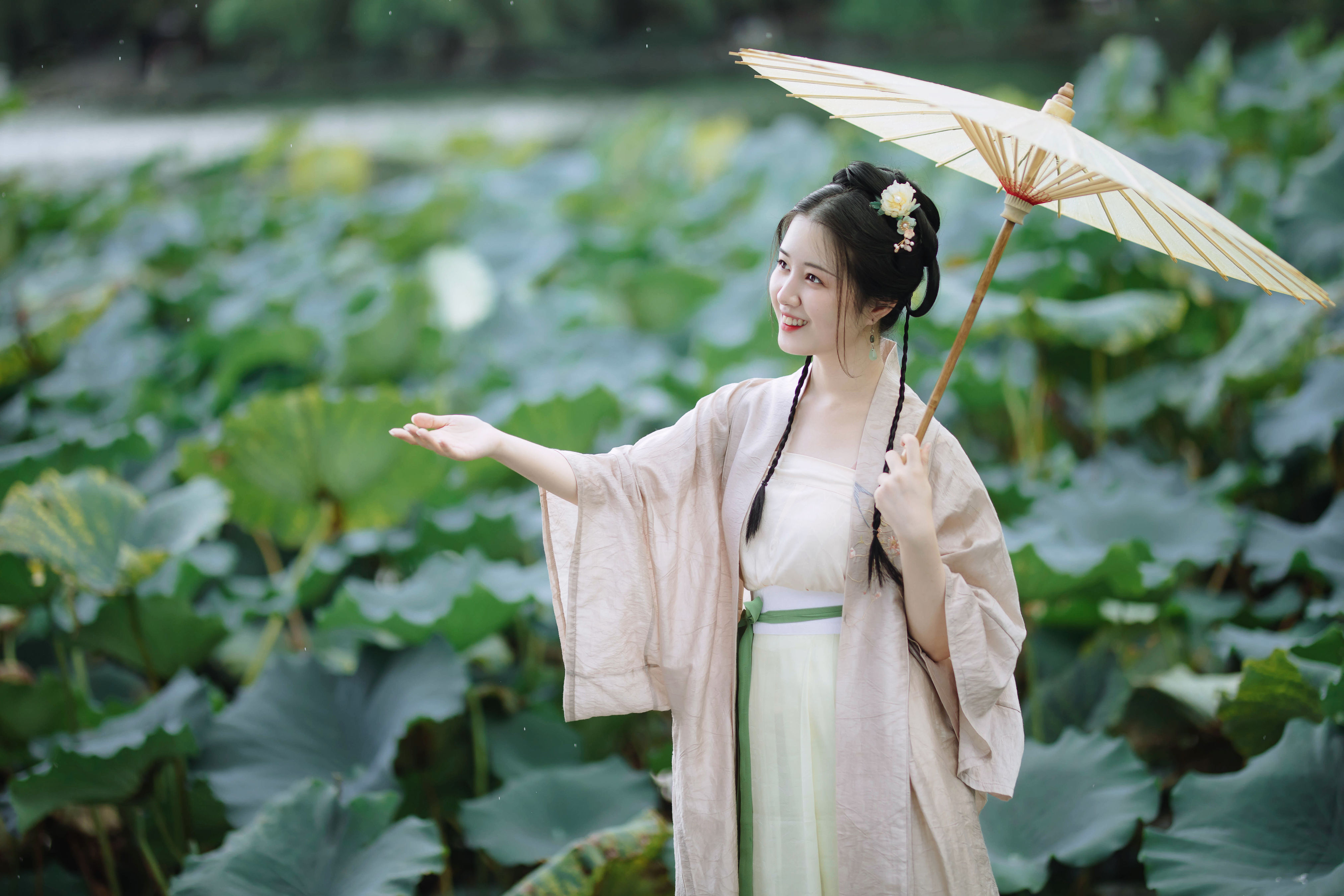 荷叶五寸荷花娇 荷花 古风 美好 花 治愈系 精美 漂亮 少女