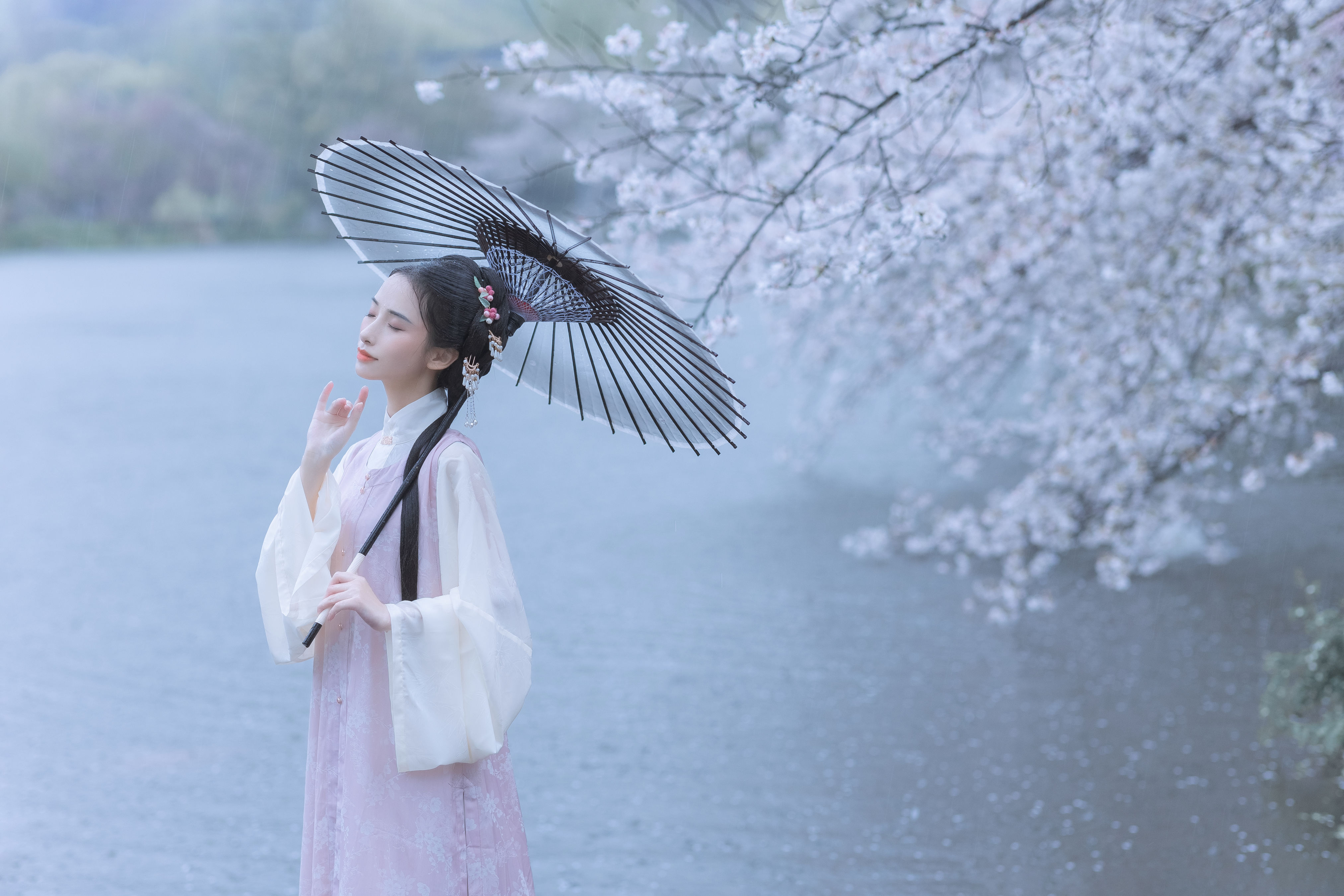 雨樱花 樱花 古风 唯美 下雨天 花