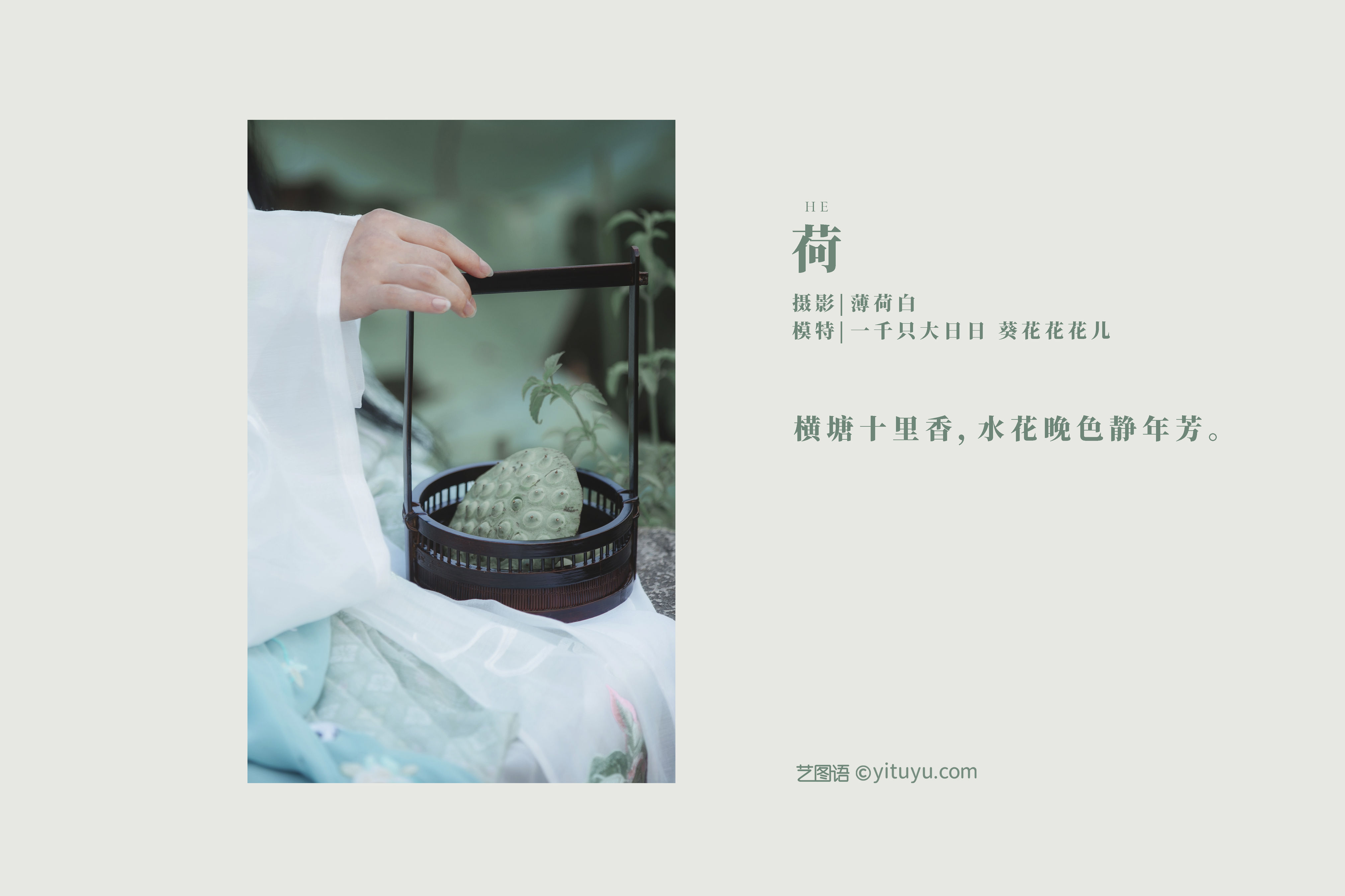 荷 古风 荷花 唯美 闺蜜