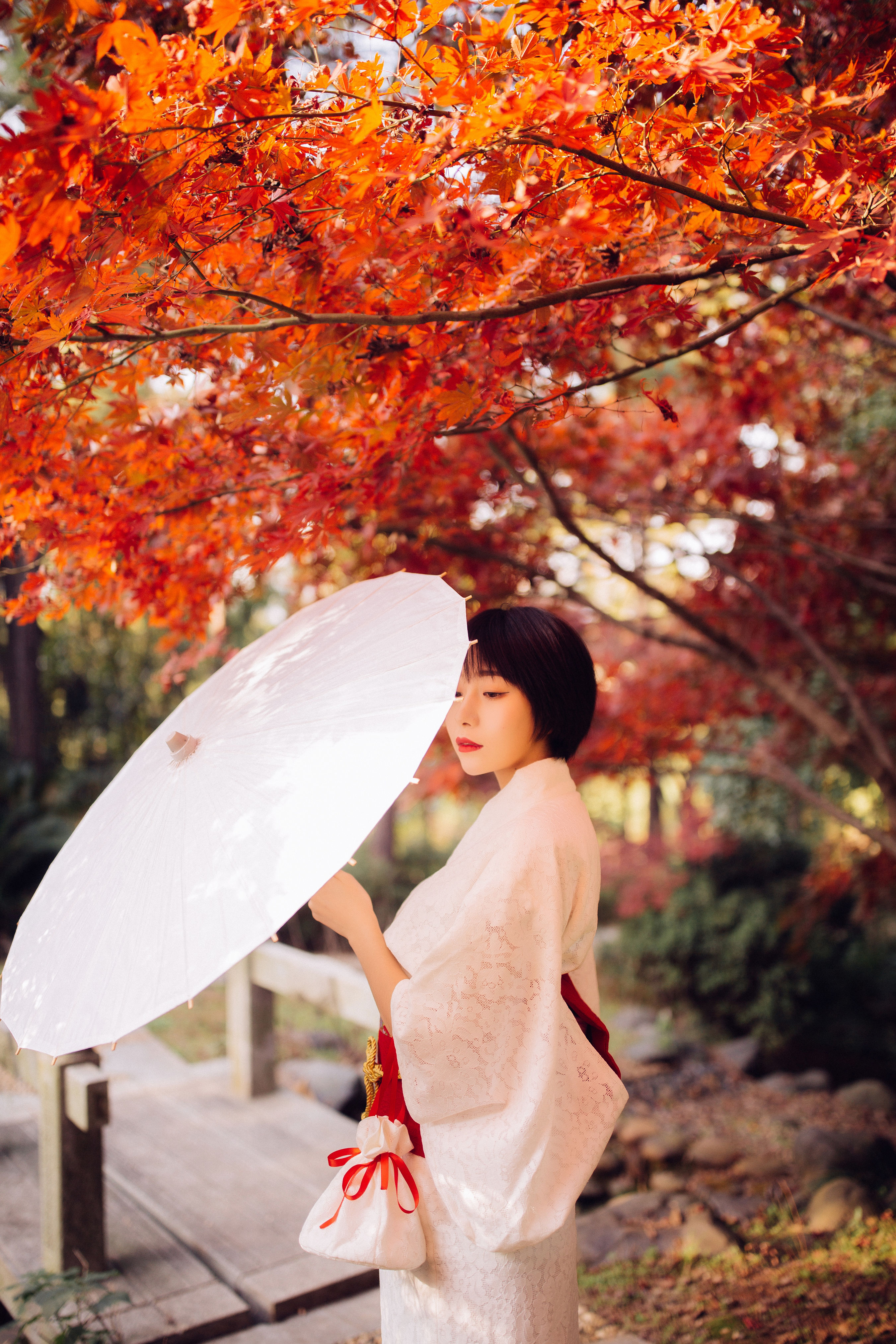 枫 枫叶 日式和风 优美 精美 唯美 美女