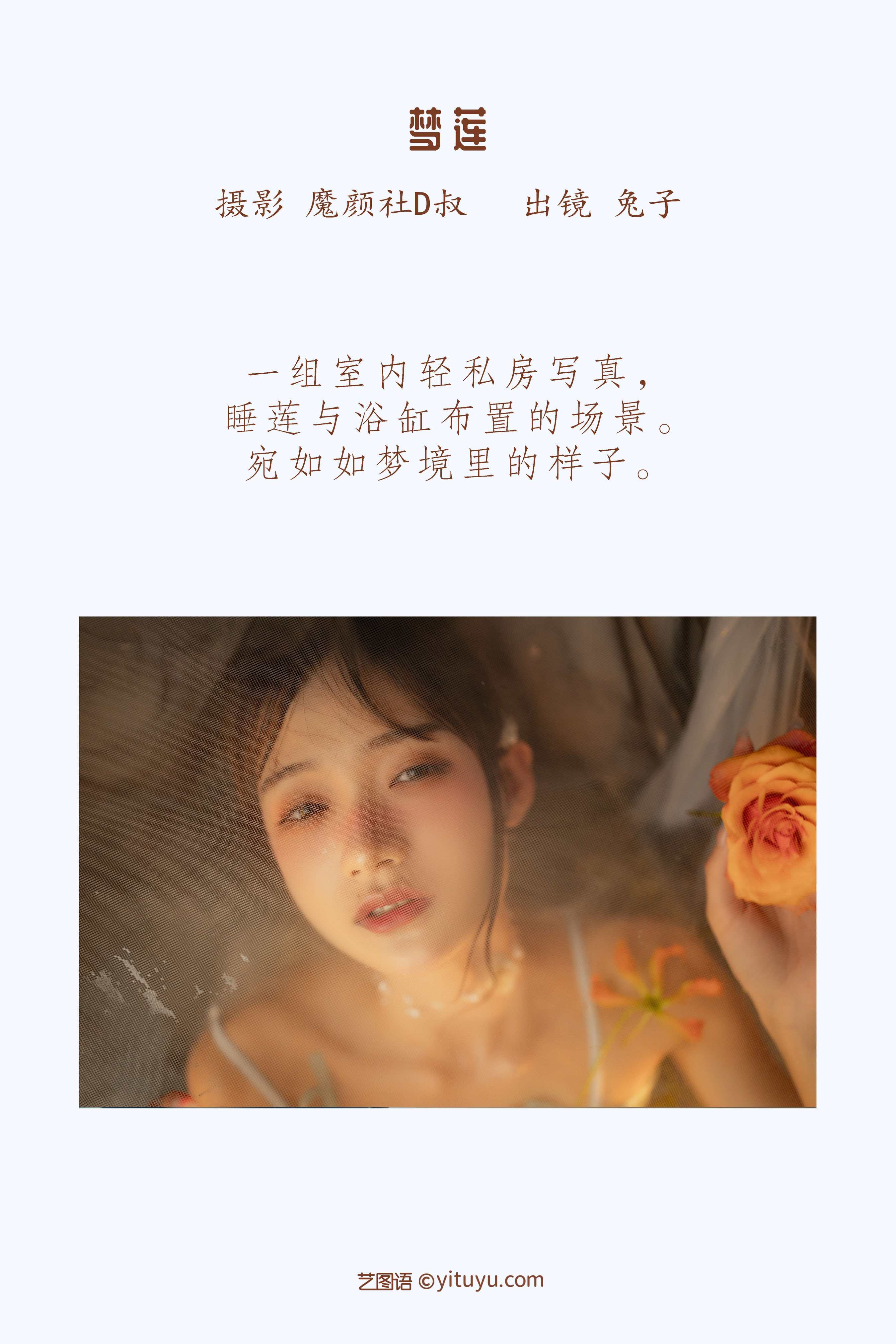 梦莲 创意 水下摄影 艺术 花