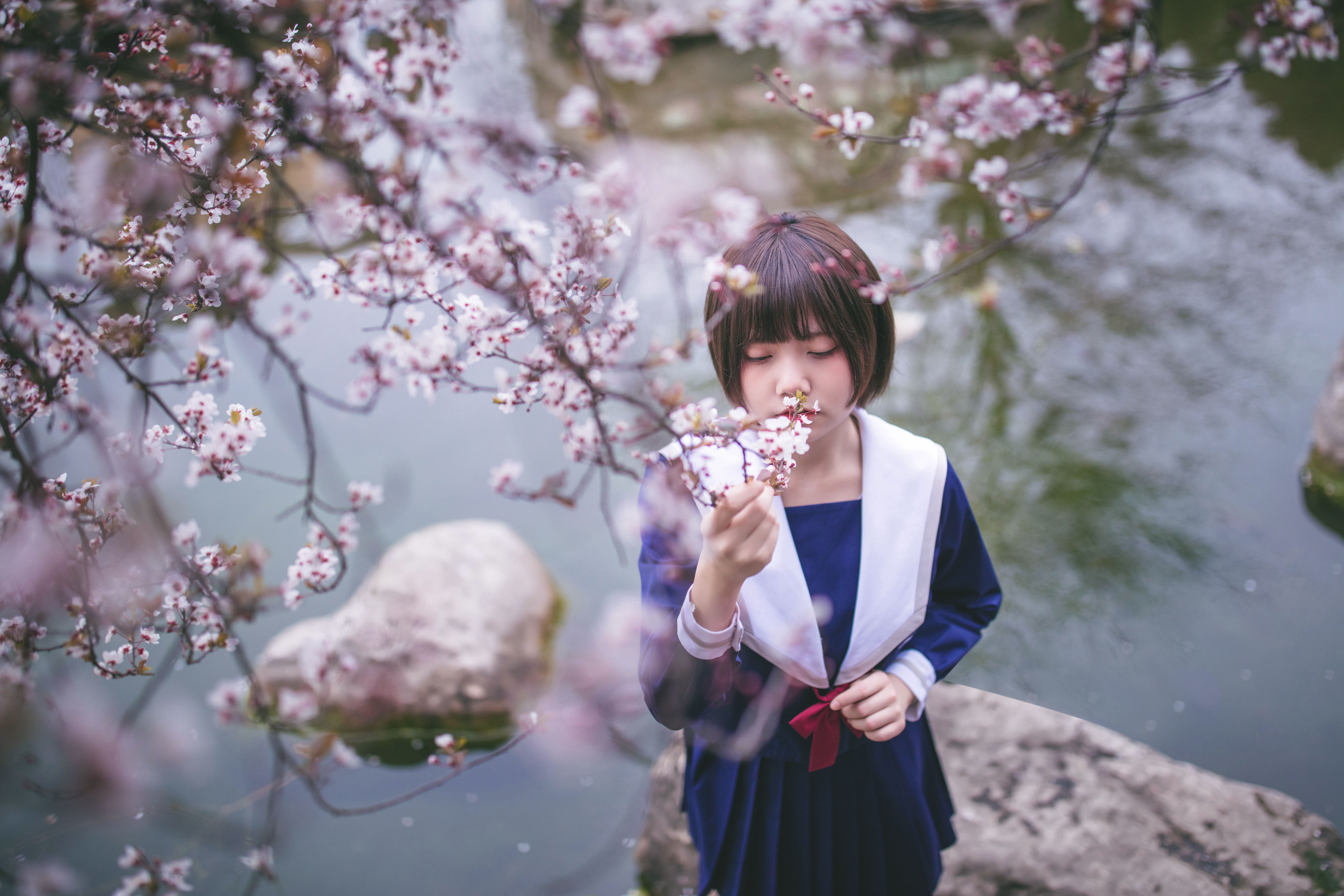 樱花树下 樱花 花 女生