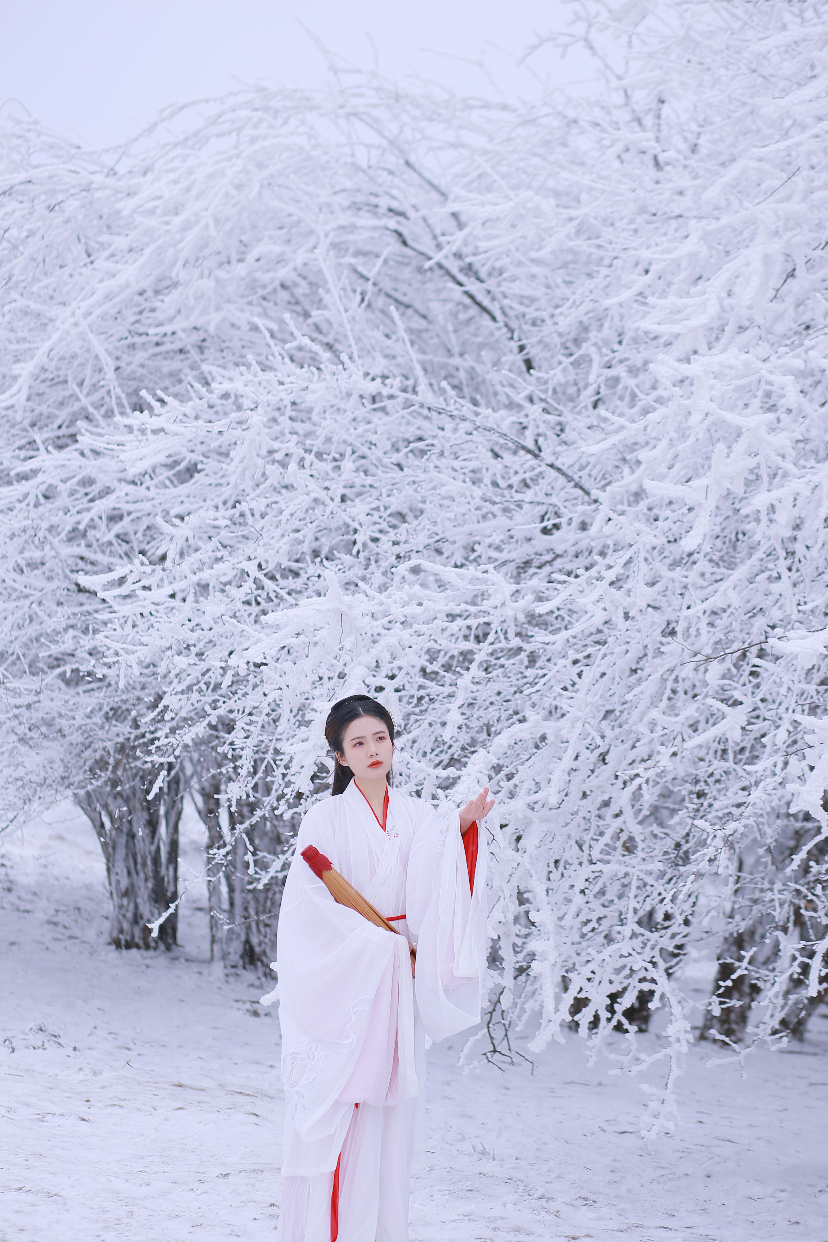 山中雪后 雪景 美女 古风 冬天