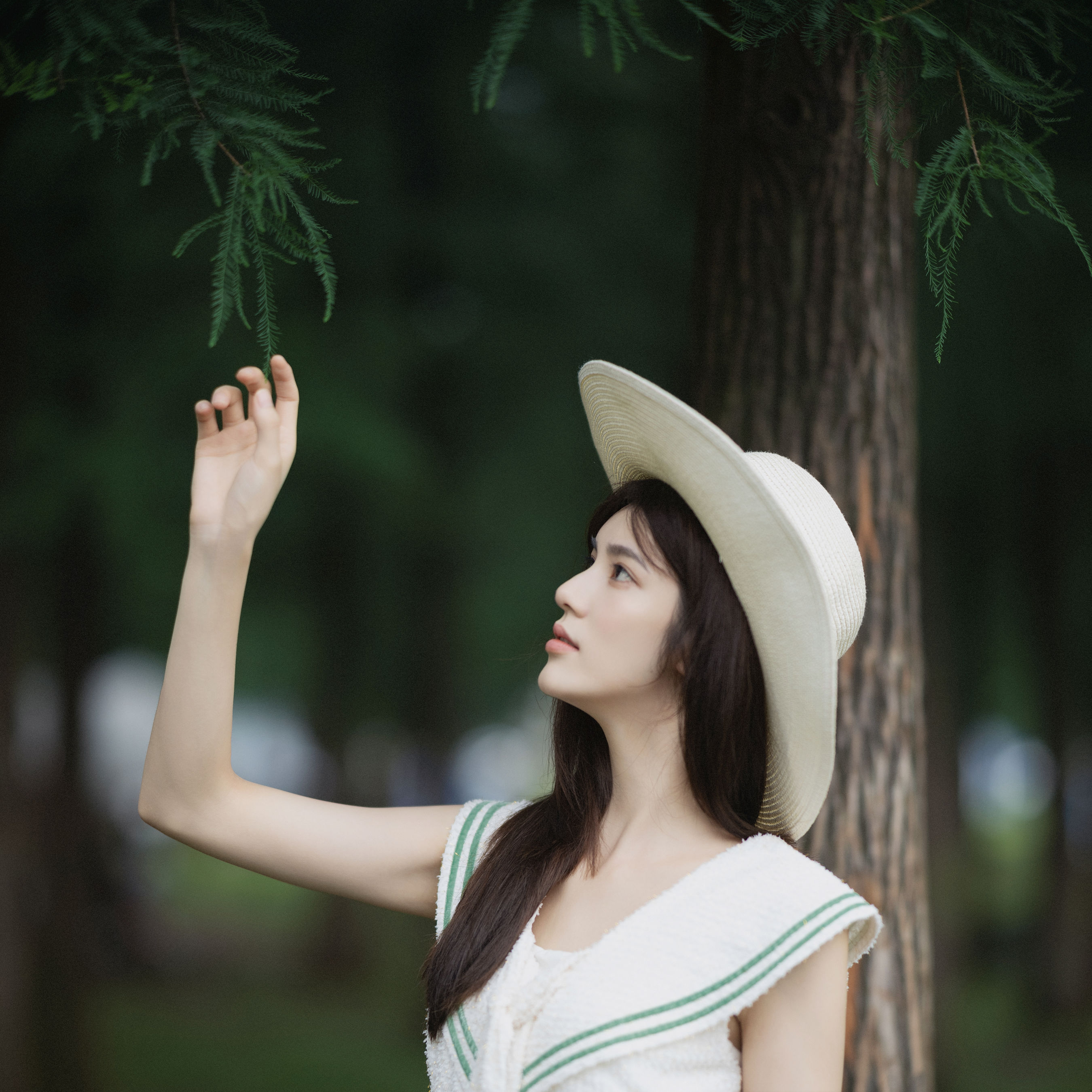 晴天阴天雨天 唯美 精美 小清新 清新唯美 养眼 女神 树林