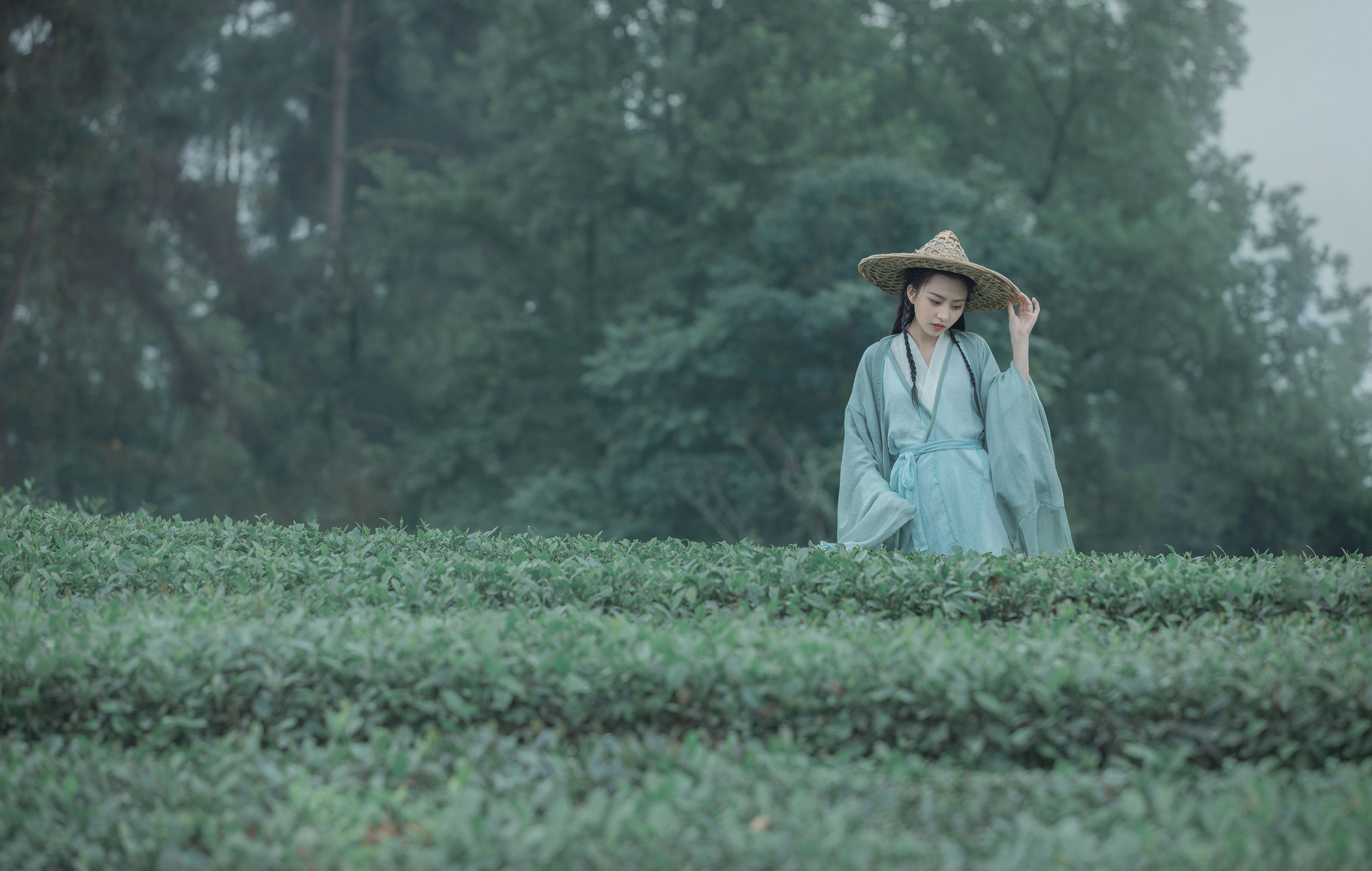 沐青瑶 古风 精美 小清新 采茶女 少女