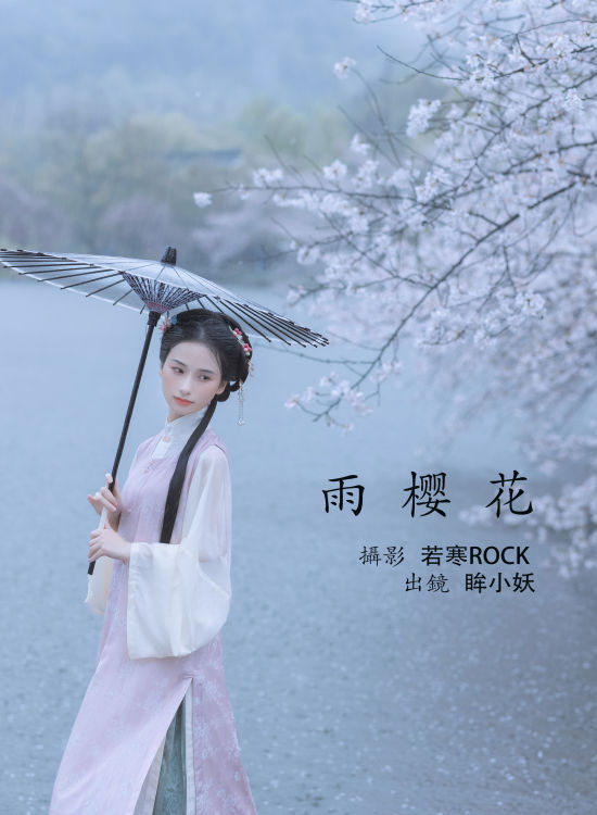 雨樱花 樱花 古风 唯美 下雨天 花