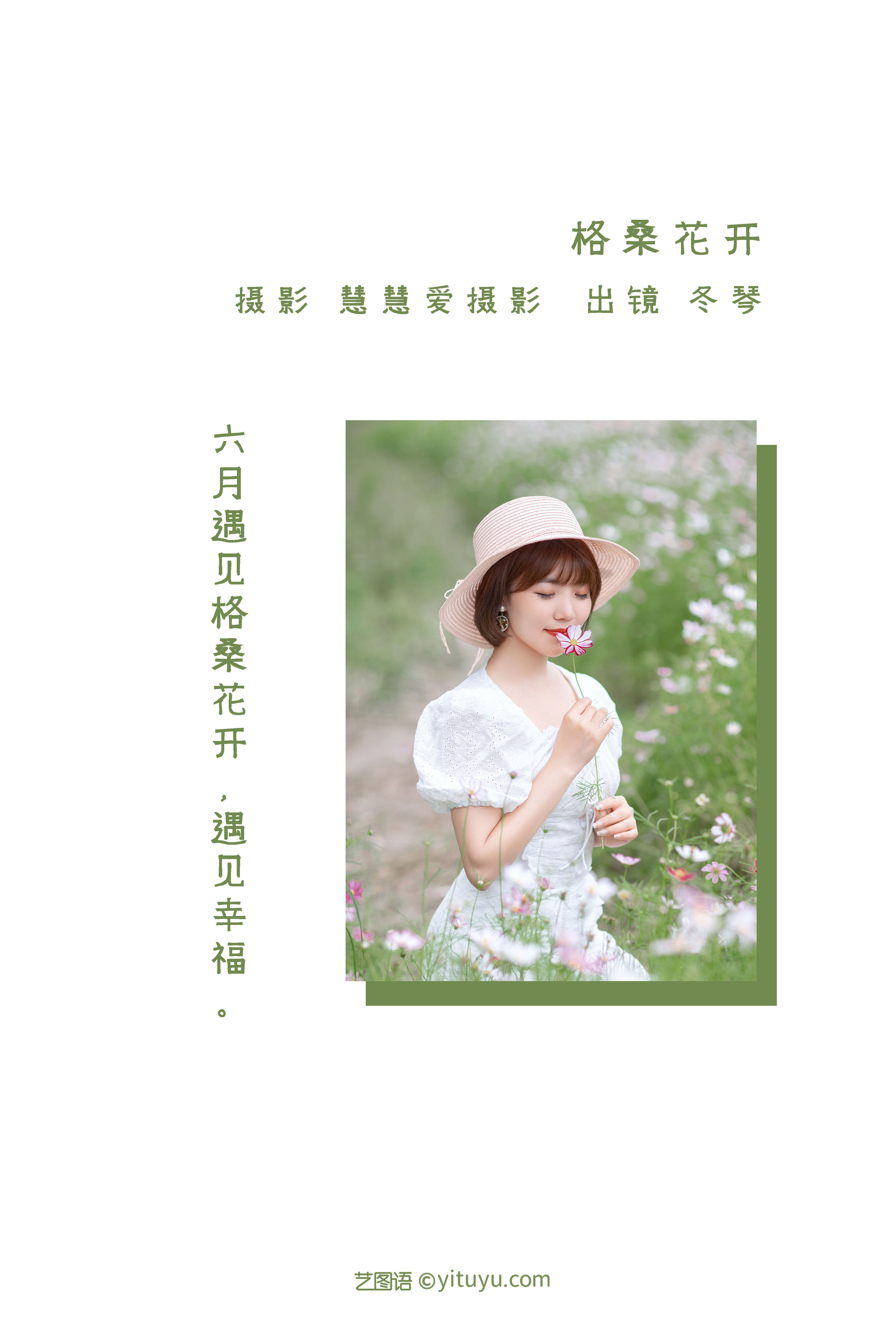 格桑花开 小清新 花 美好