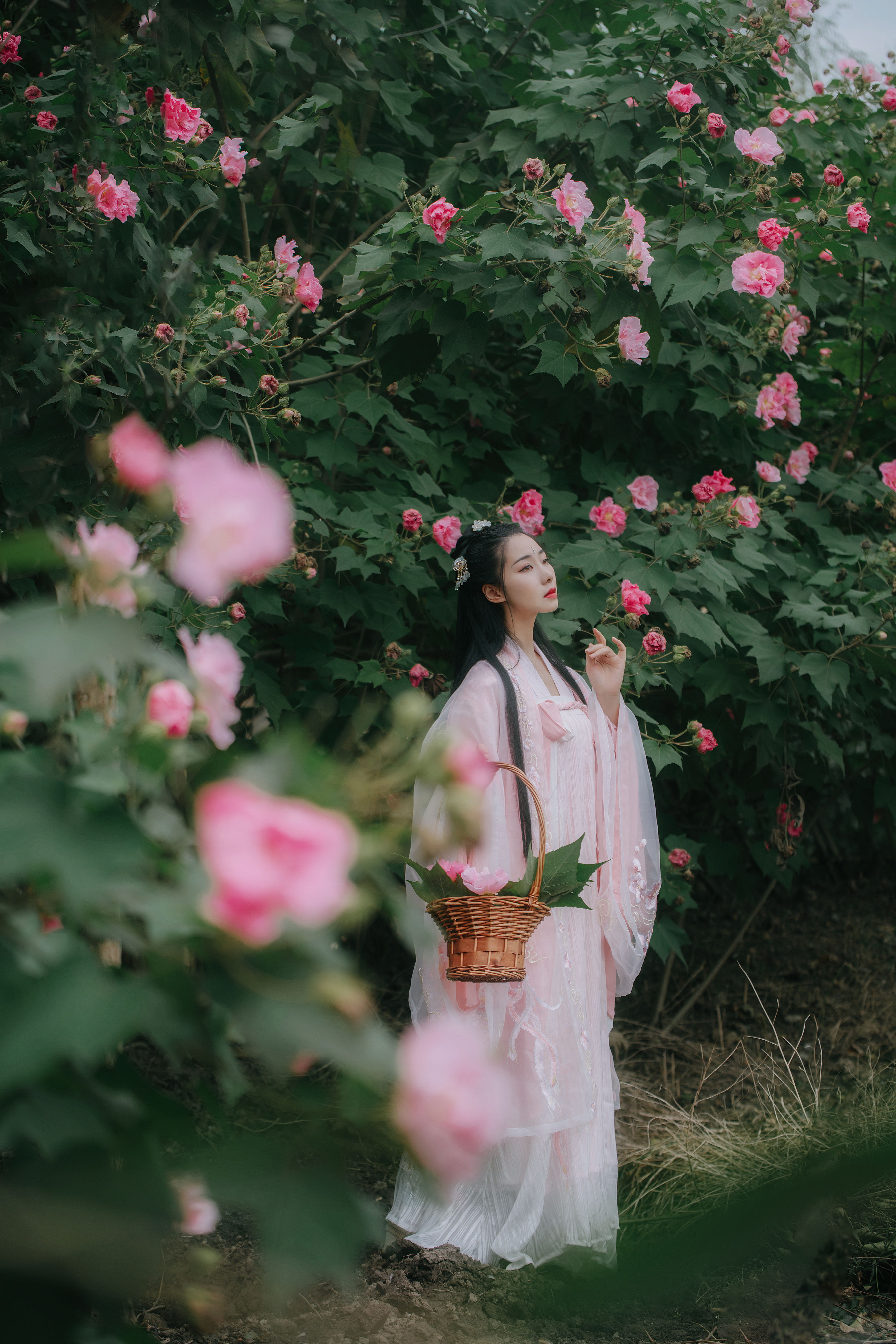 粉蝶 古装 清冷美人 花 漂亮