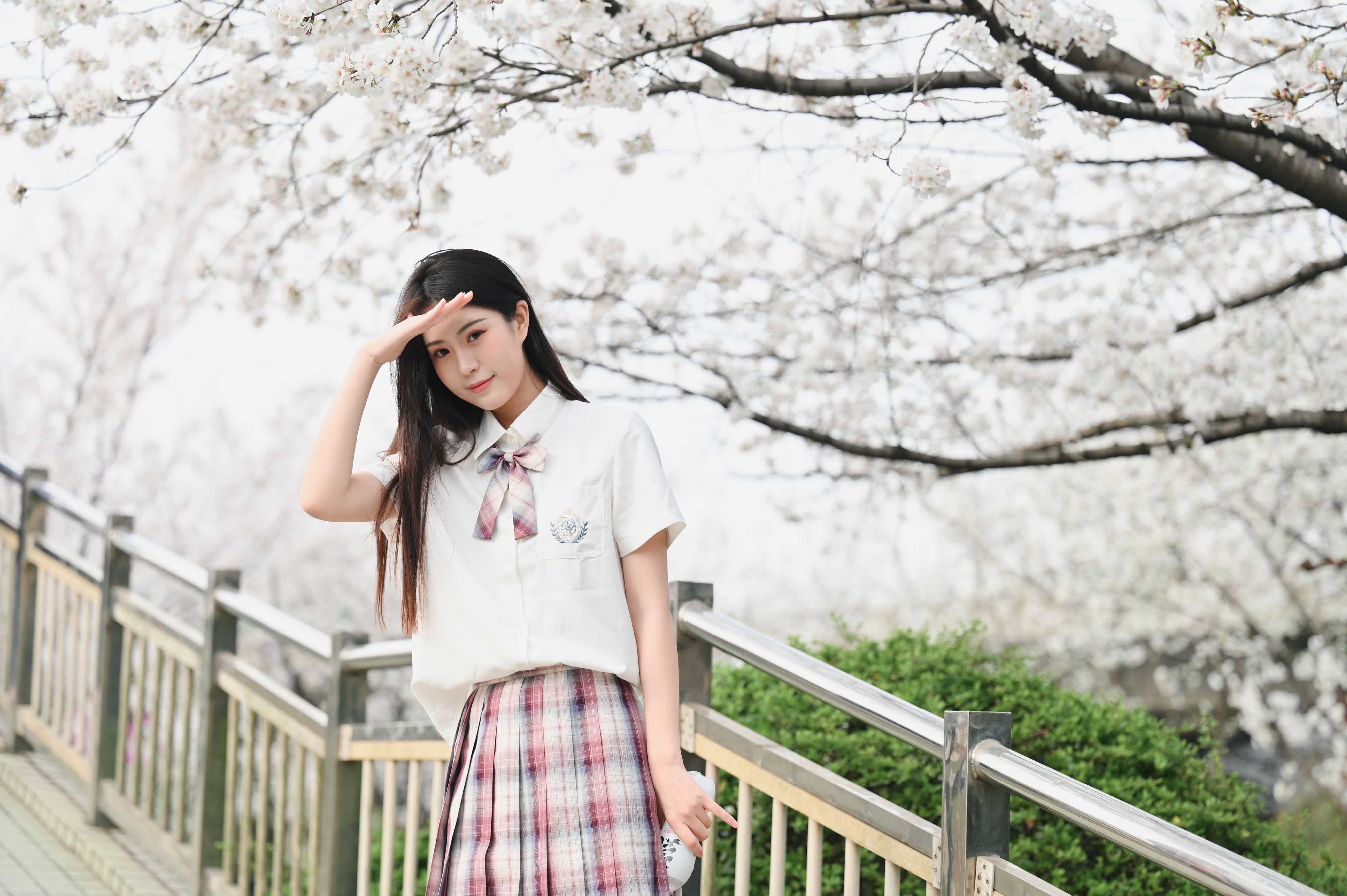 樱花色的天空下 日系 樱花 写真集 女生 花