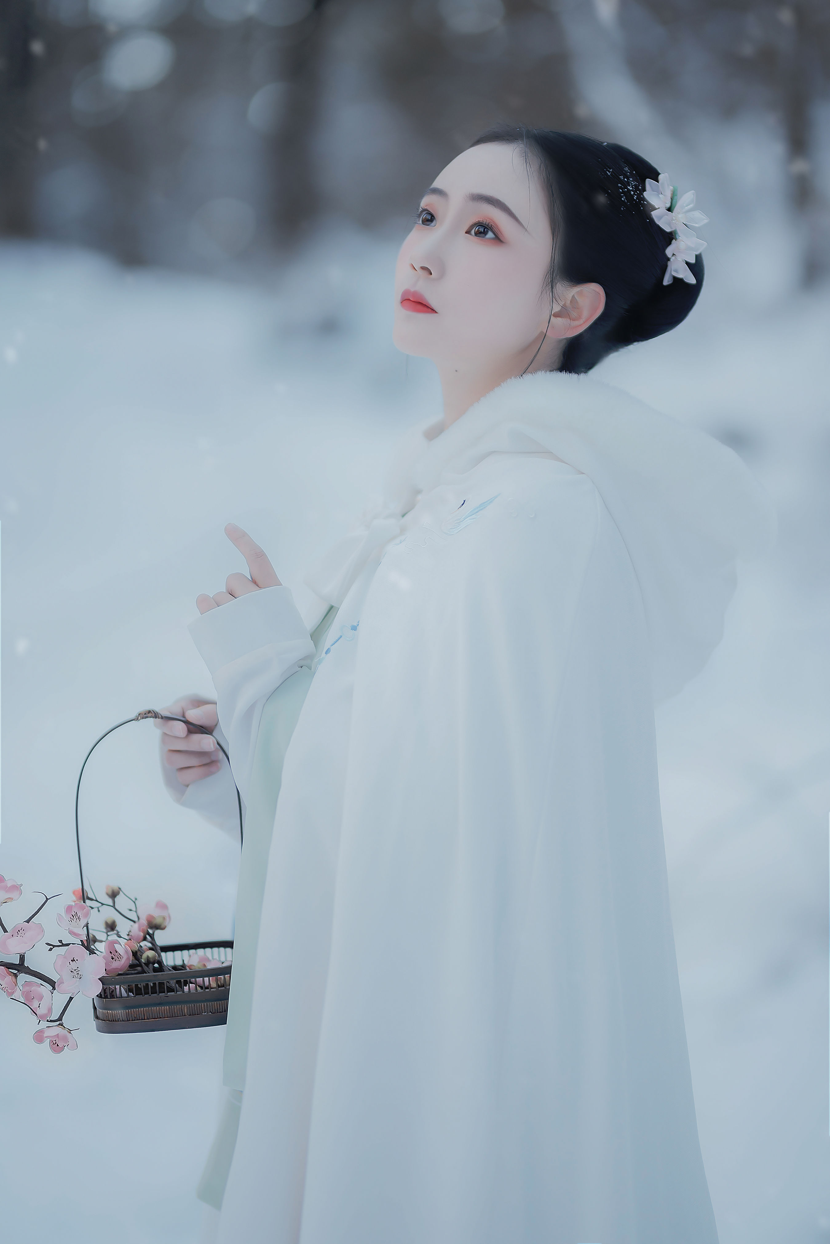 寒酥 唯美 意境 中国风 漂亮 艺术 优美 仙气 古风 雪景 秋天 小仙女