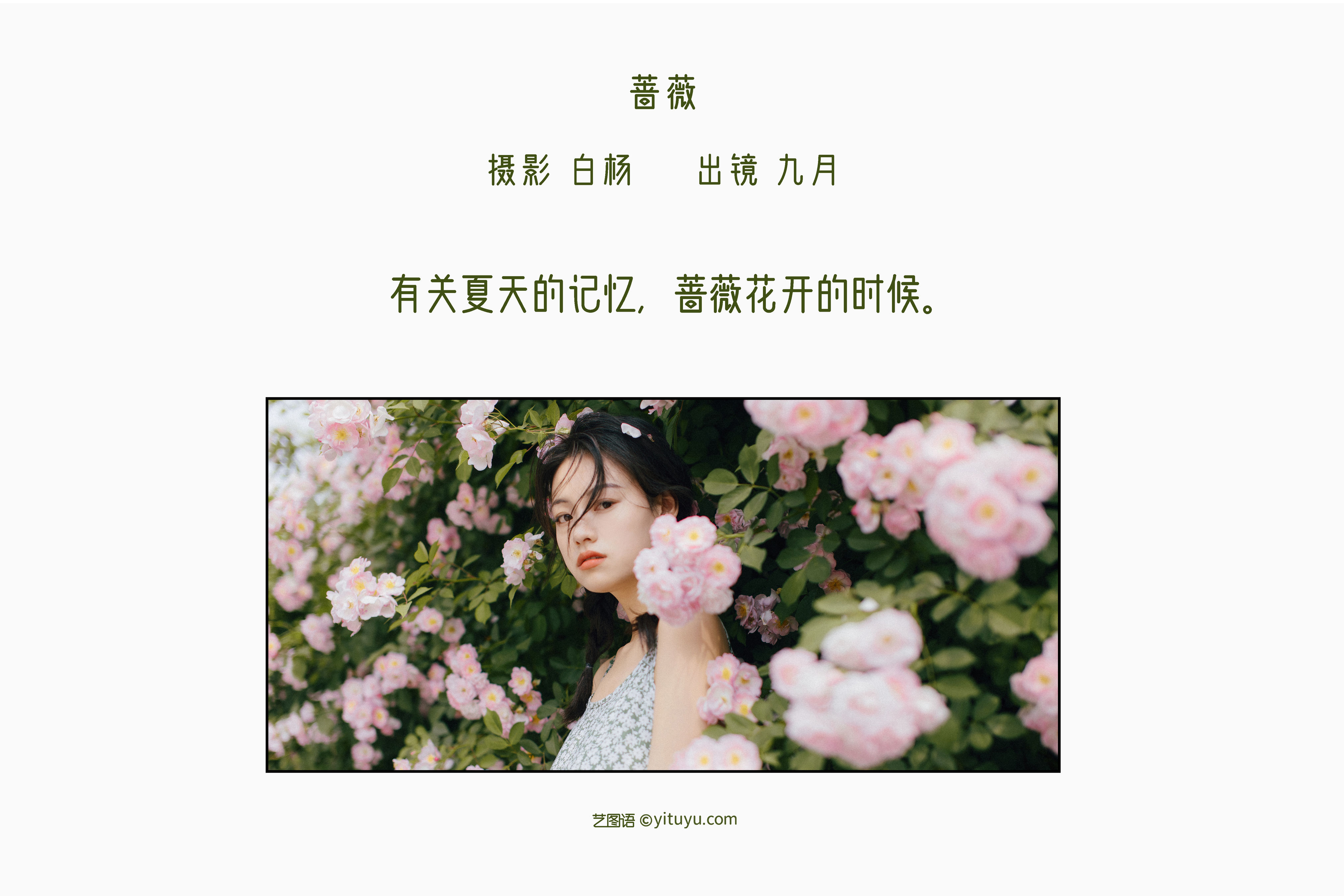 蔷薇 治愈系 文艺 日系 花 少女