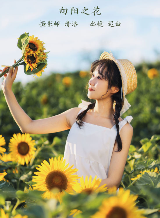 向阳之花 唯美 小清新 漂亮 女神 向日葵 少女