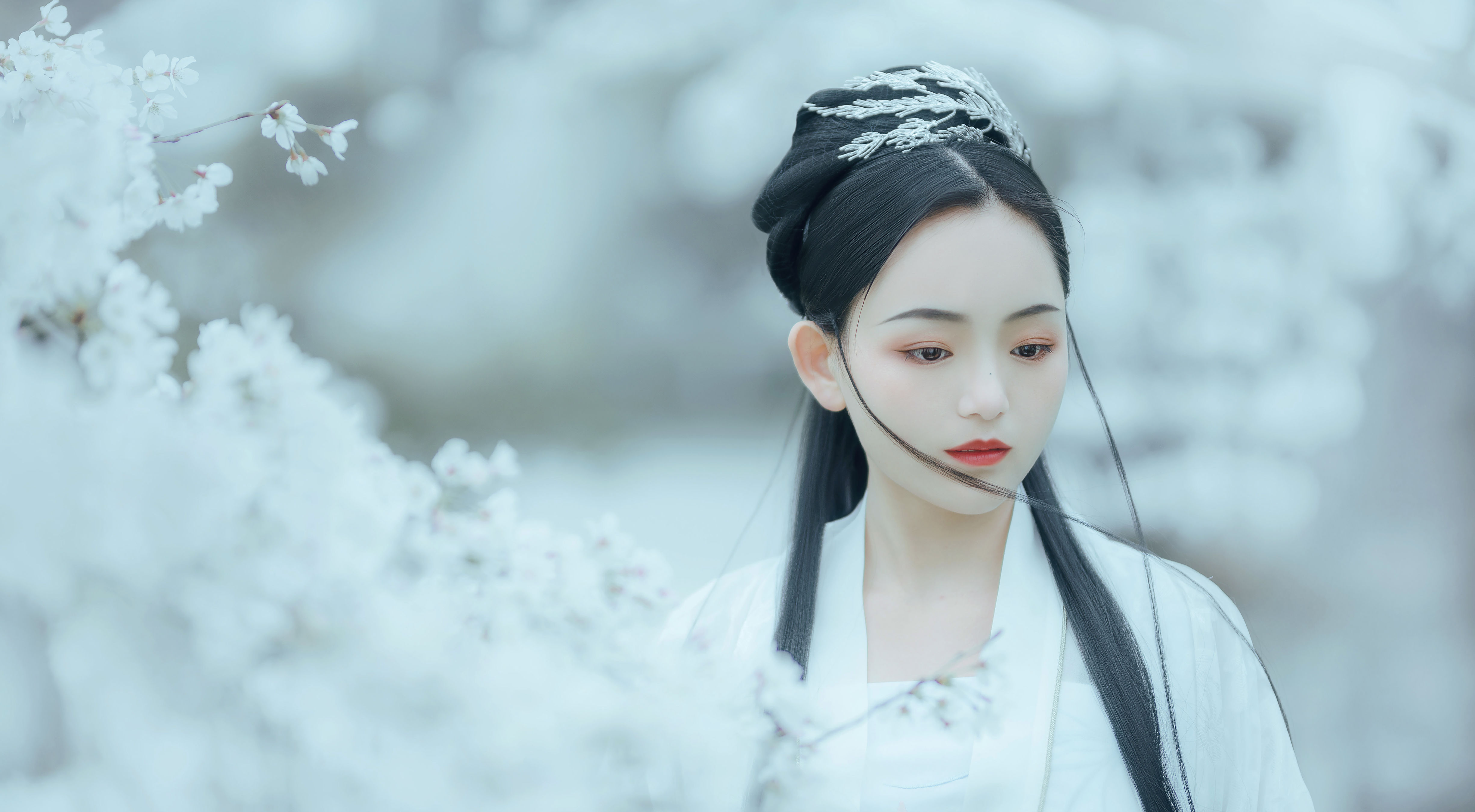 樱吹雪 唯美 仙气 古风 樱花