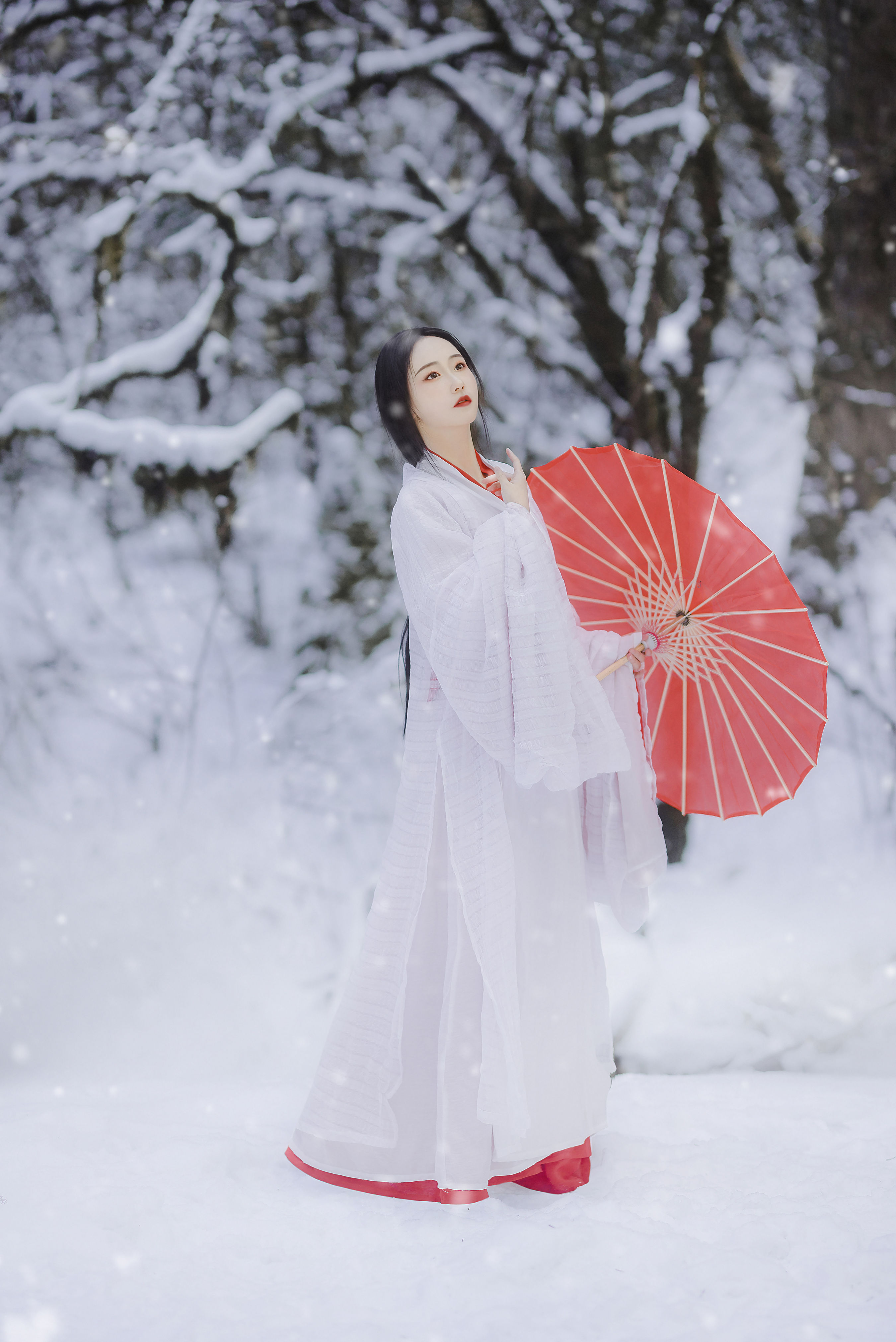 北国寒 仙气 古风 雪景 冬天 山林