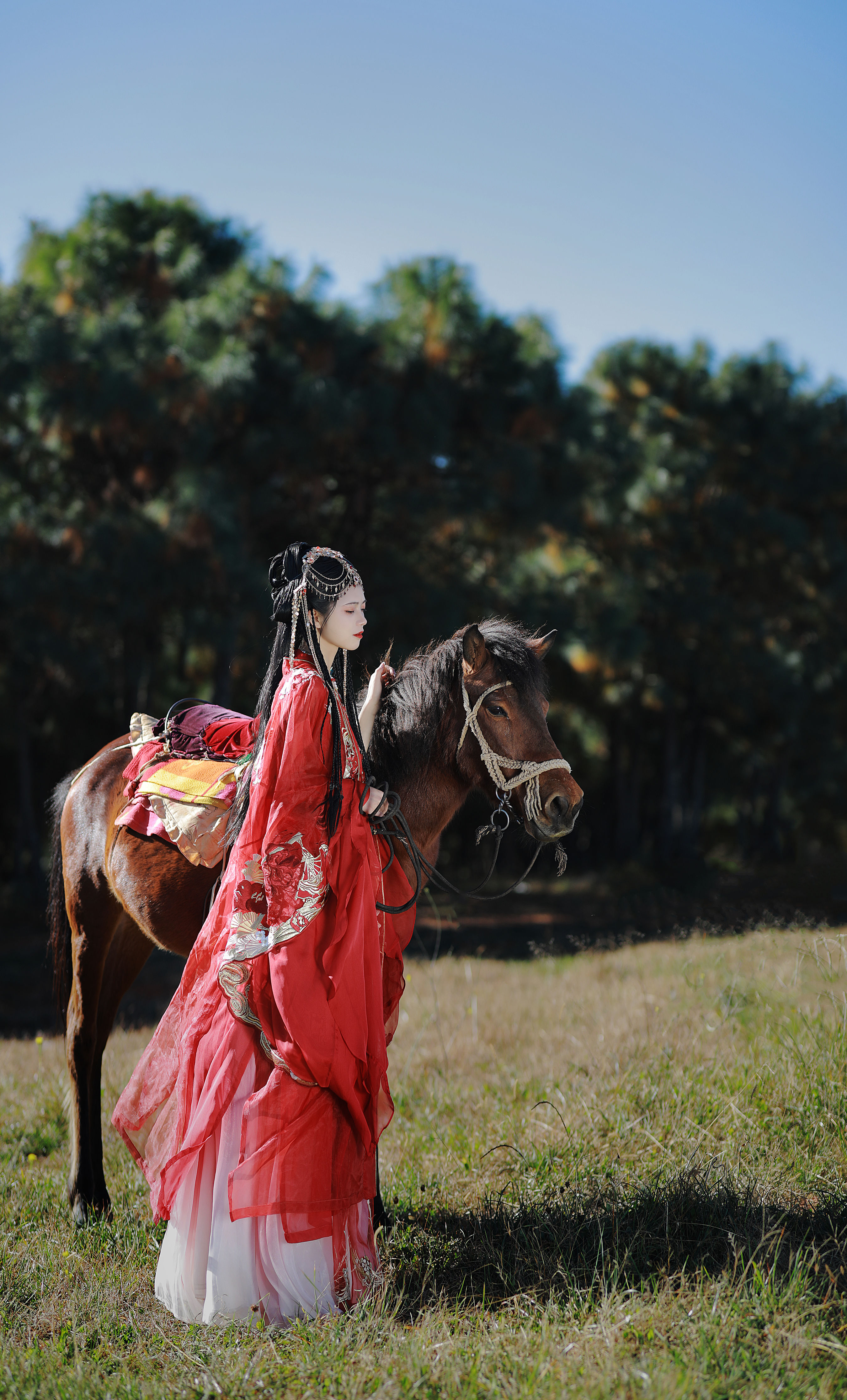 夕阳流火风舞沙，落日余晖映彩霞 唯美 意境 古风 美人 夕阳