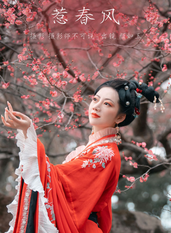 惹春风 古风 春天 梅花 花 美图 摄影