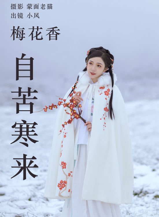 梅花香自苦寒来 冬天 雪景 汉服 花 少女