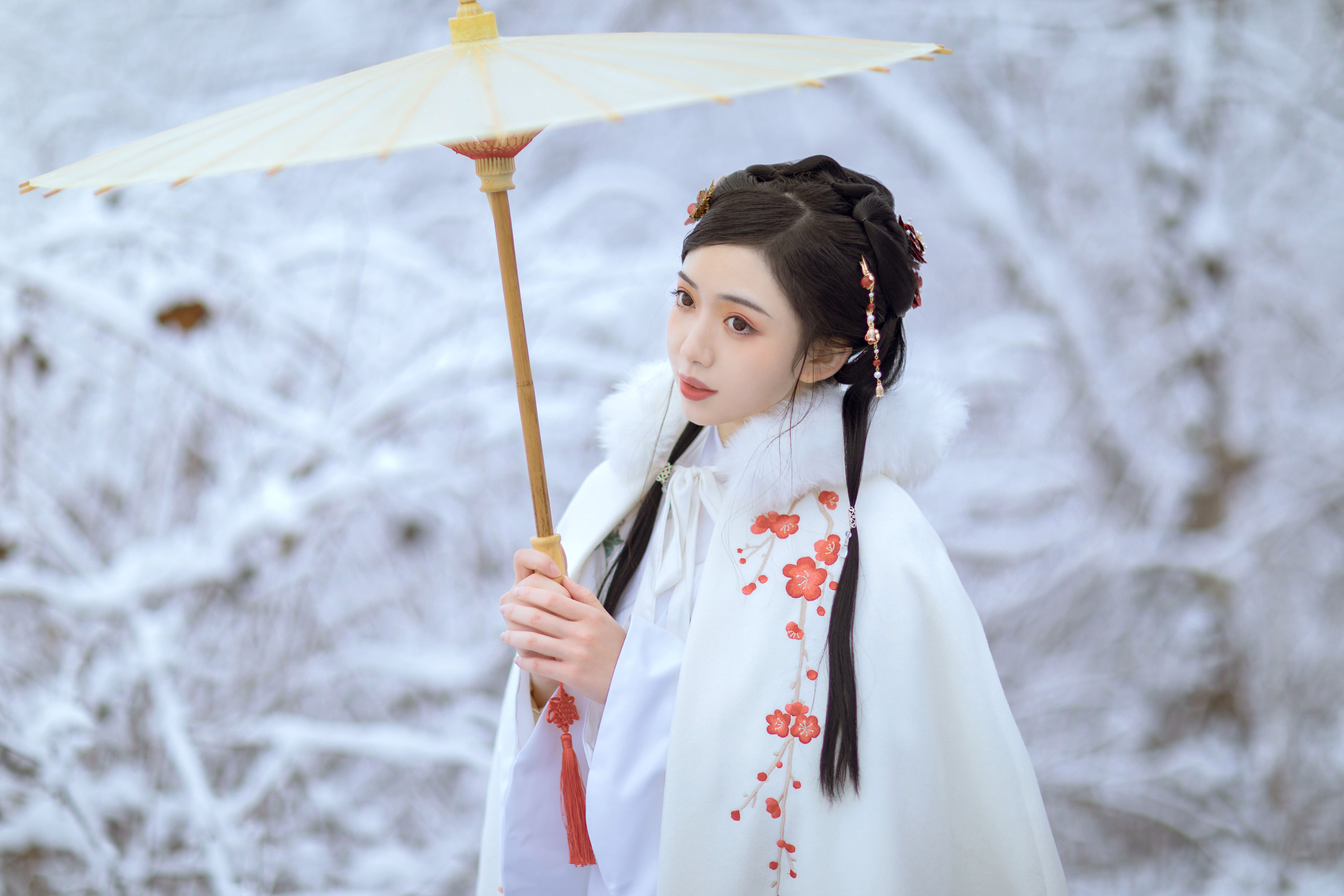 梅花香自苦寒来 冬天 雪景 汉服 花 少女