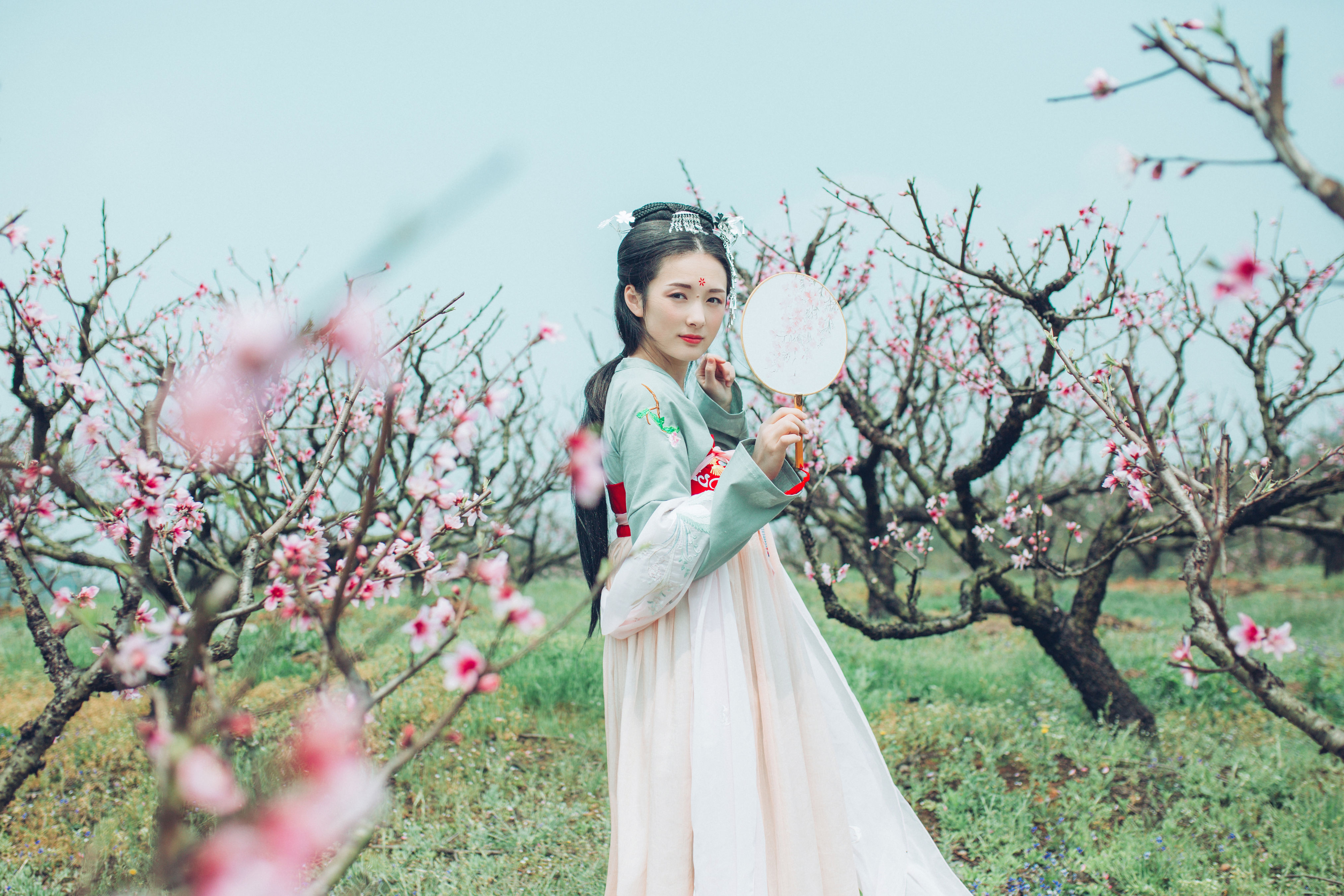 桃花 古风 汉服 写真 小清新 花