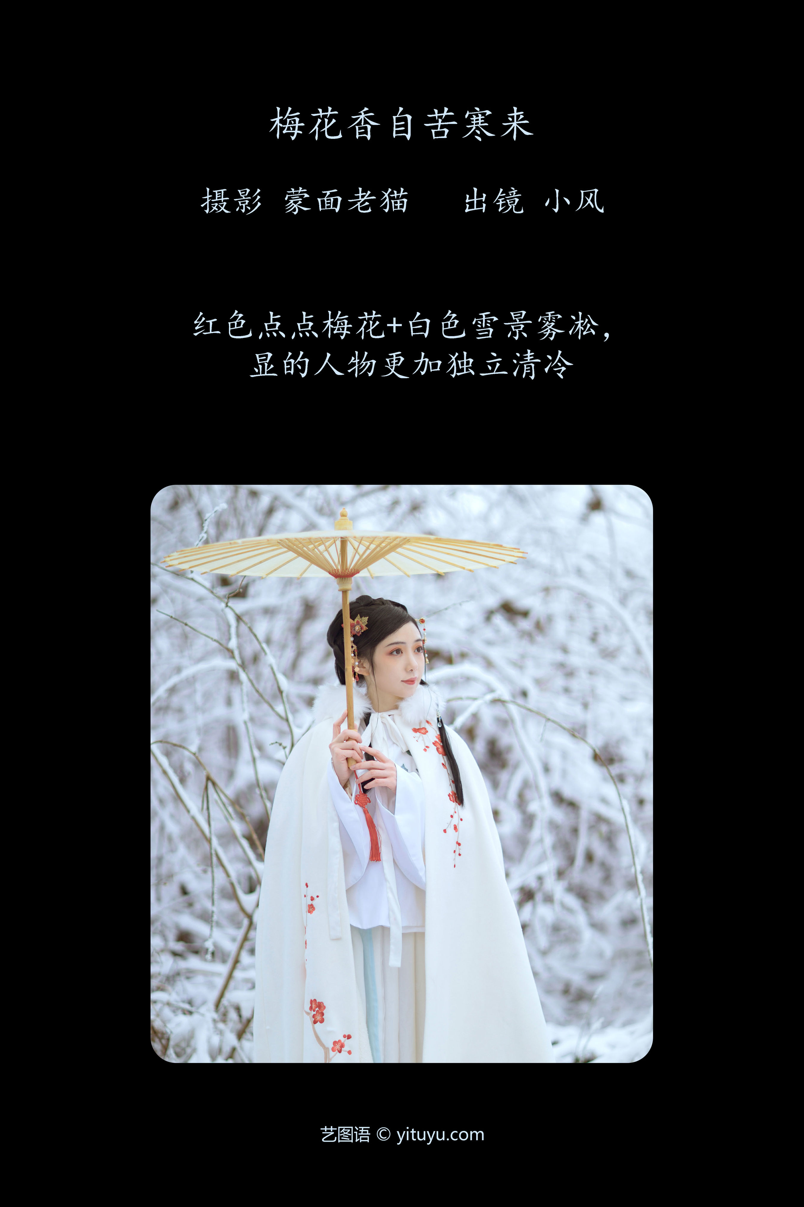 梅花香自苦寒来 冬天 雪景 汉服 花 少女