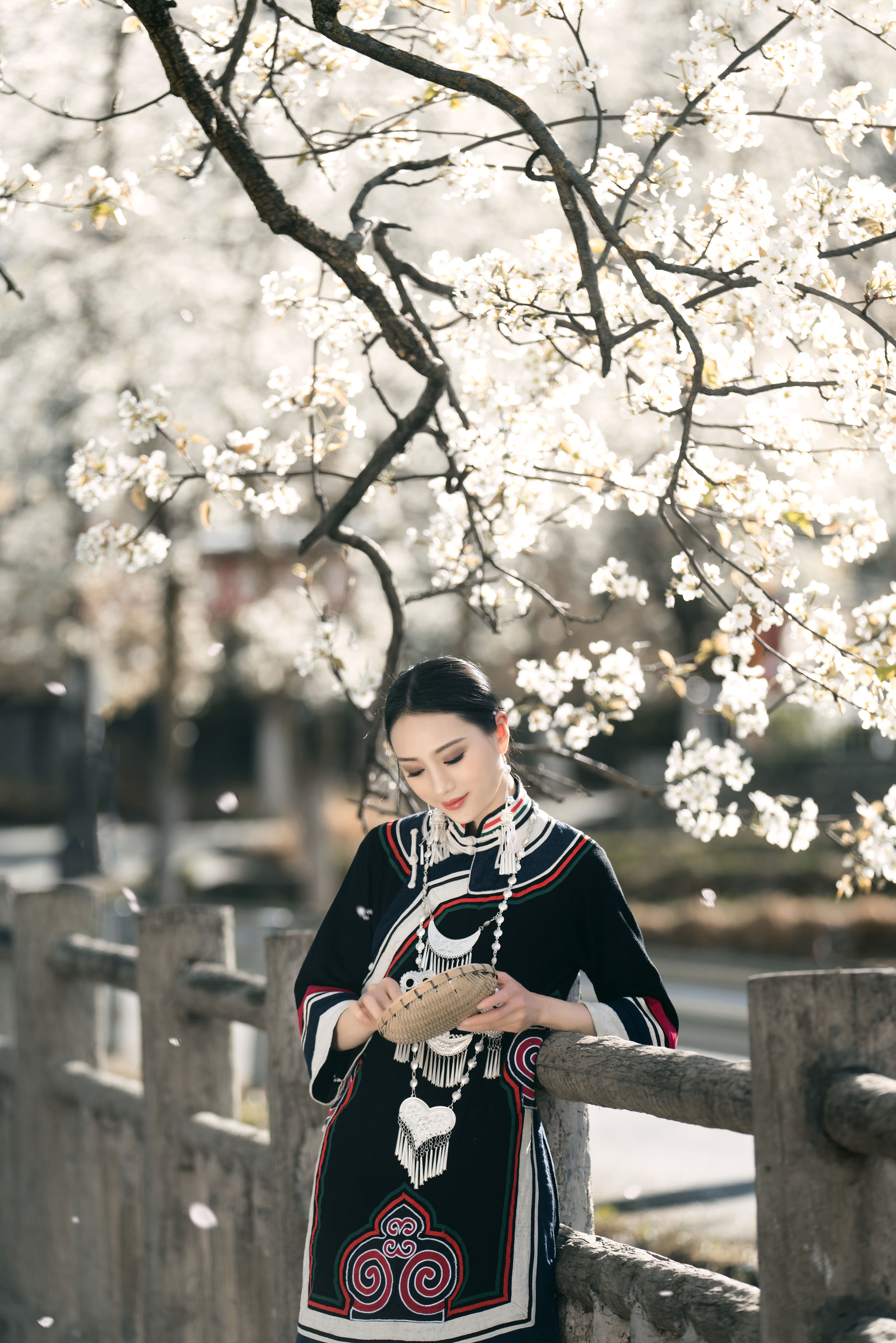 十里春风梨花如雨 中国风 古典 花 摄影 意境 唯美 春天 艺术