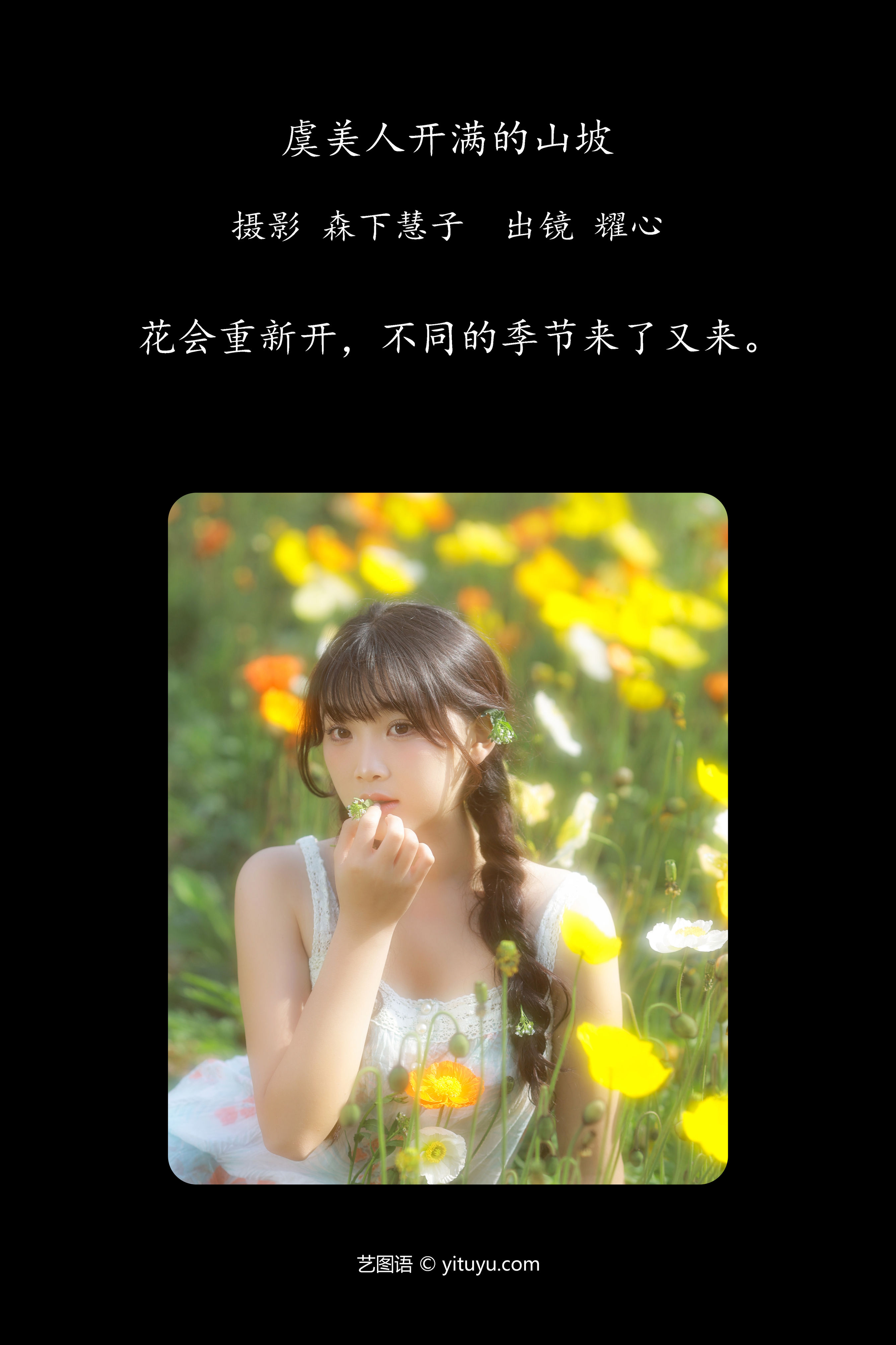 虞美人开满的山坡 少女 人像 摄影 写真 花 小清新