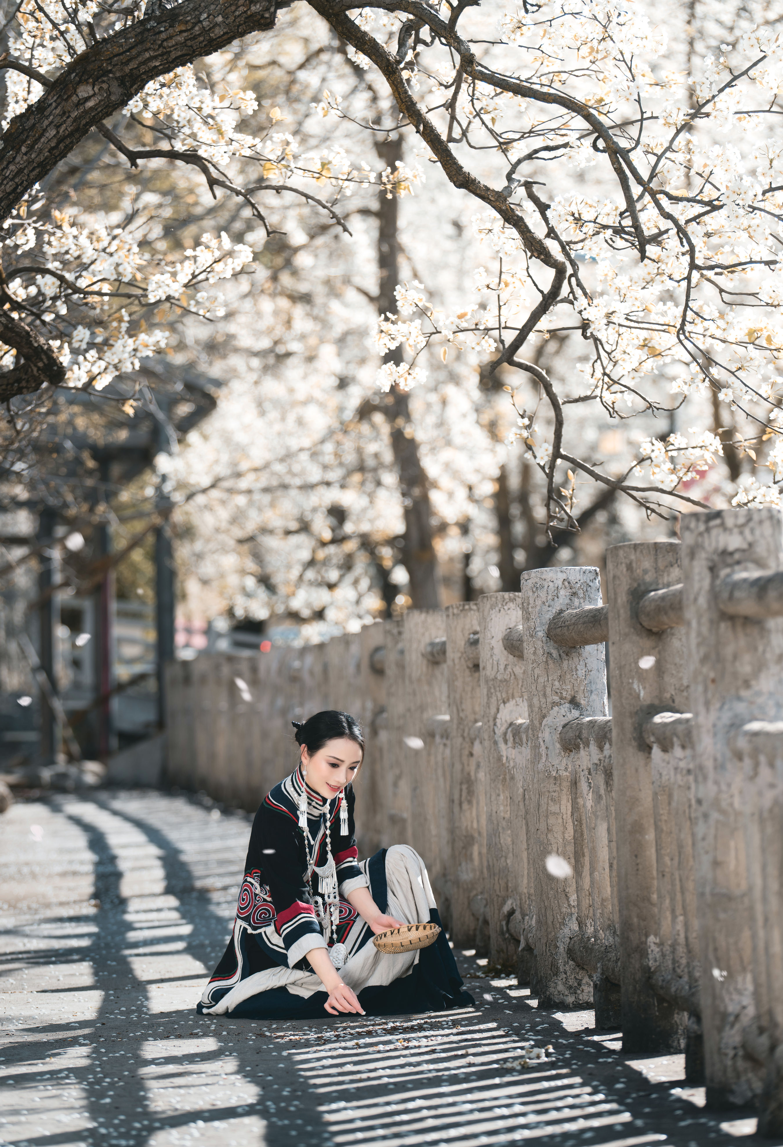 十里春风梨花如雨 中国风 古典 花 摄影 意境 唯美 春天 艺术