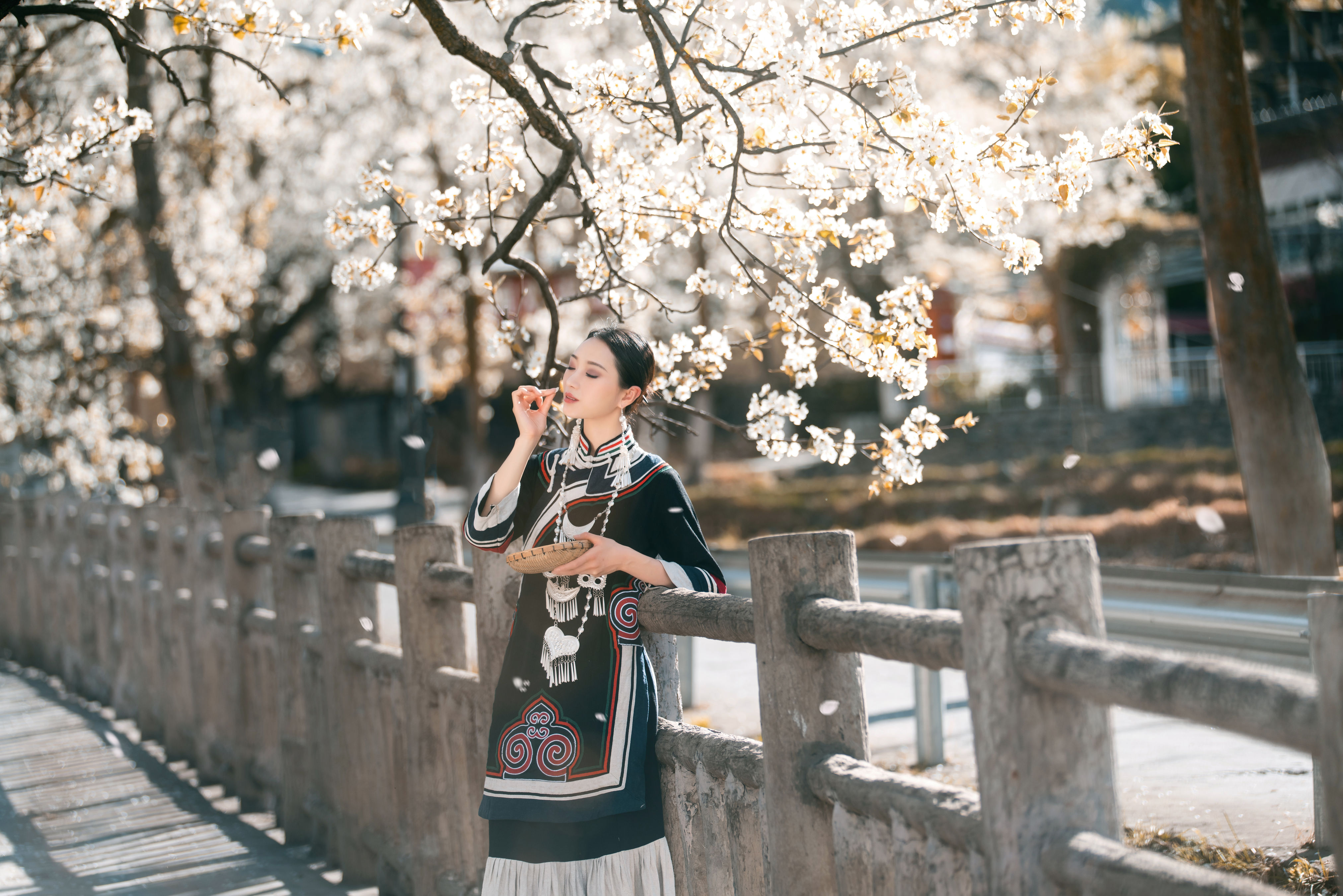 十里春风梨花如雨 中国风 古典 花 摄影 意境 唯美 春天 艺术