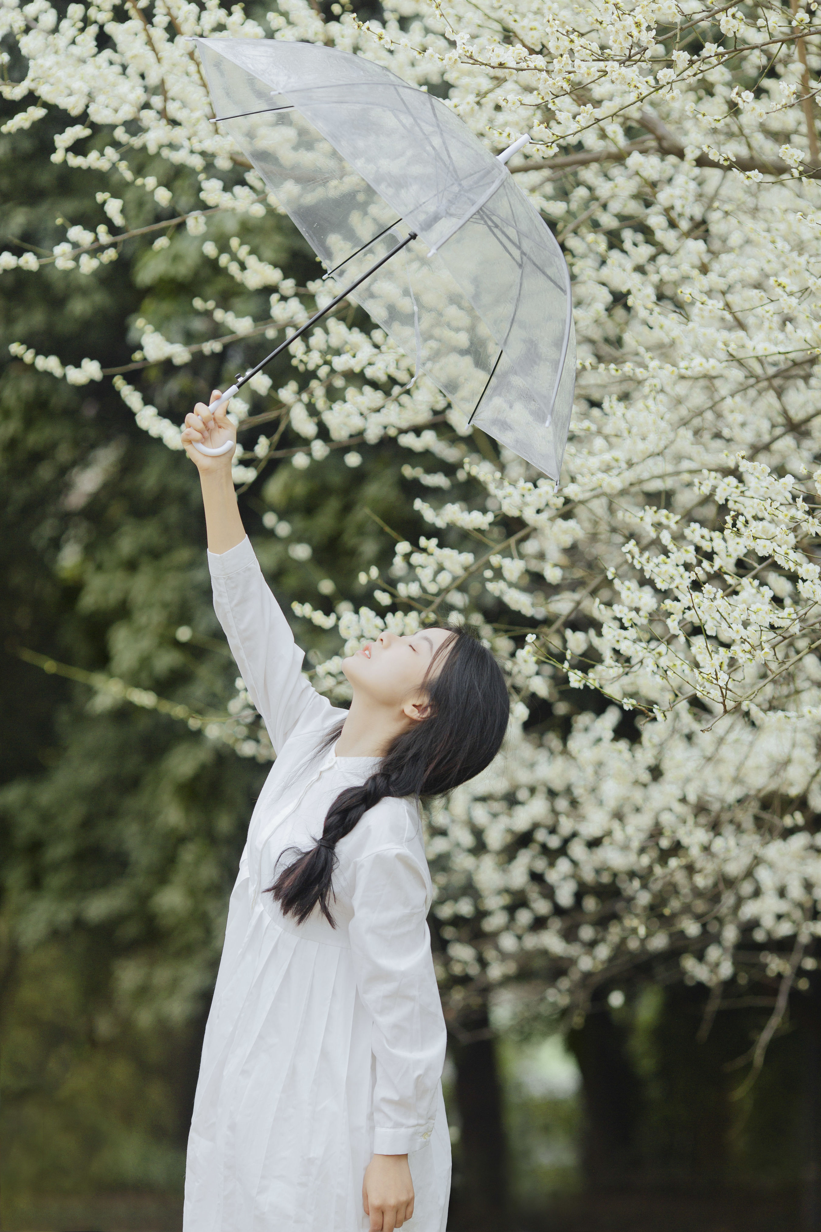 花间 清纯 小清新 少女 花 模特 美图 唯美 优美 精美 治愈系 梅花 春天