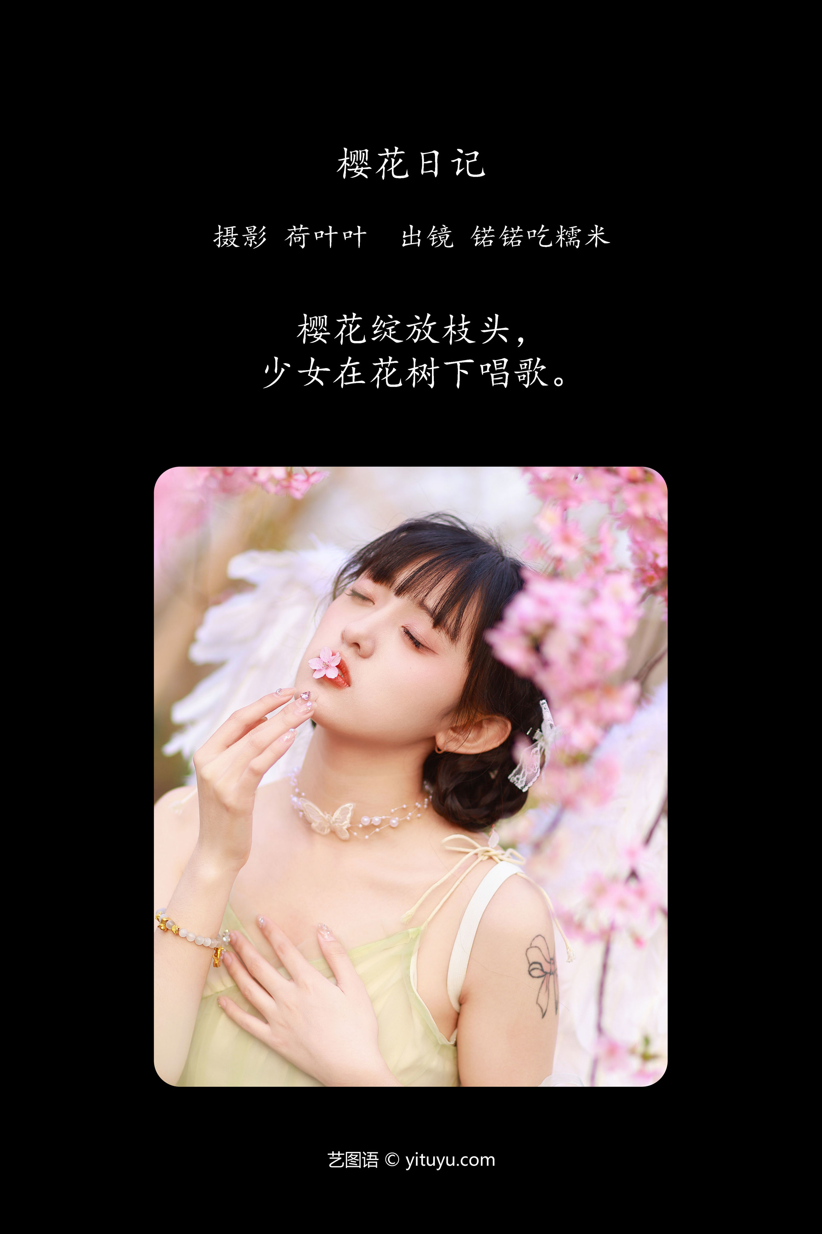 樱花日记 樱花 少女 花 写真 清纯 天使