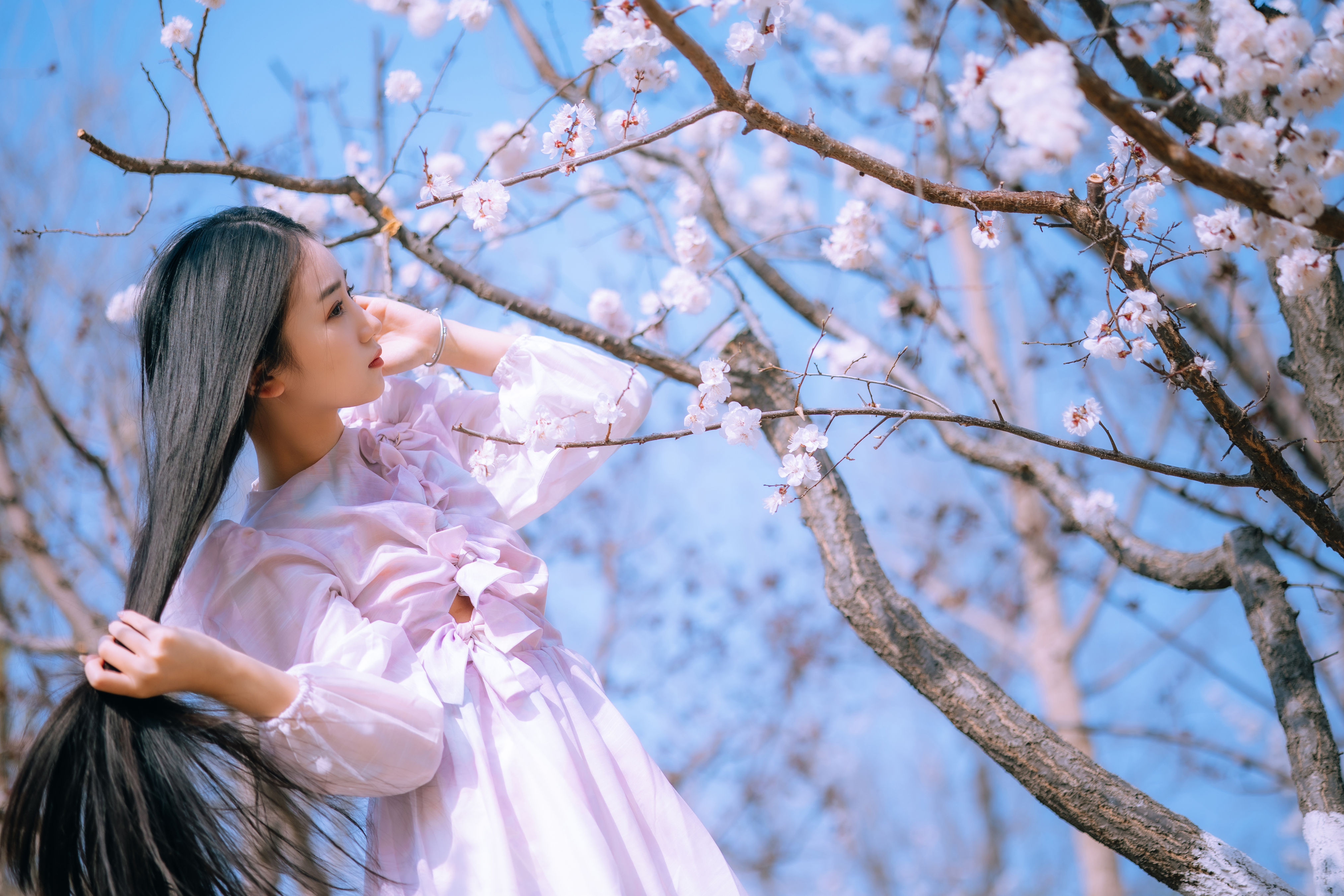 桃花少女 少女 清纯 樱花 高颜值 女生