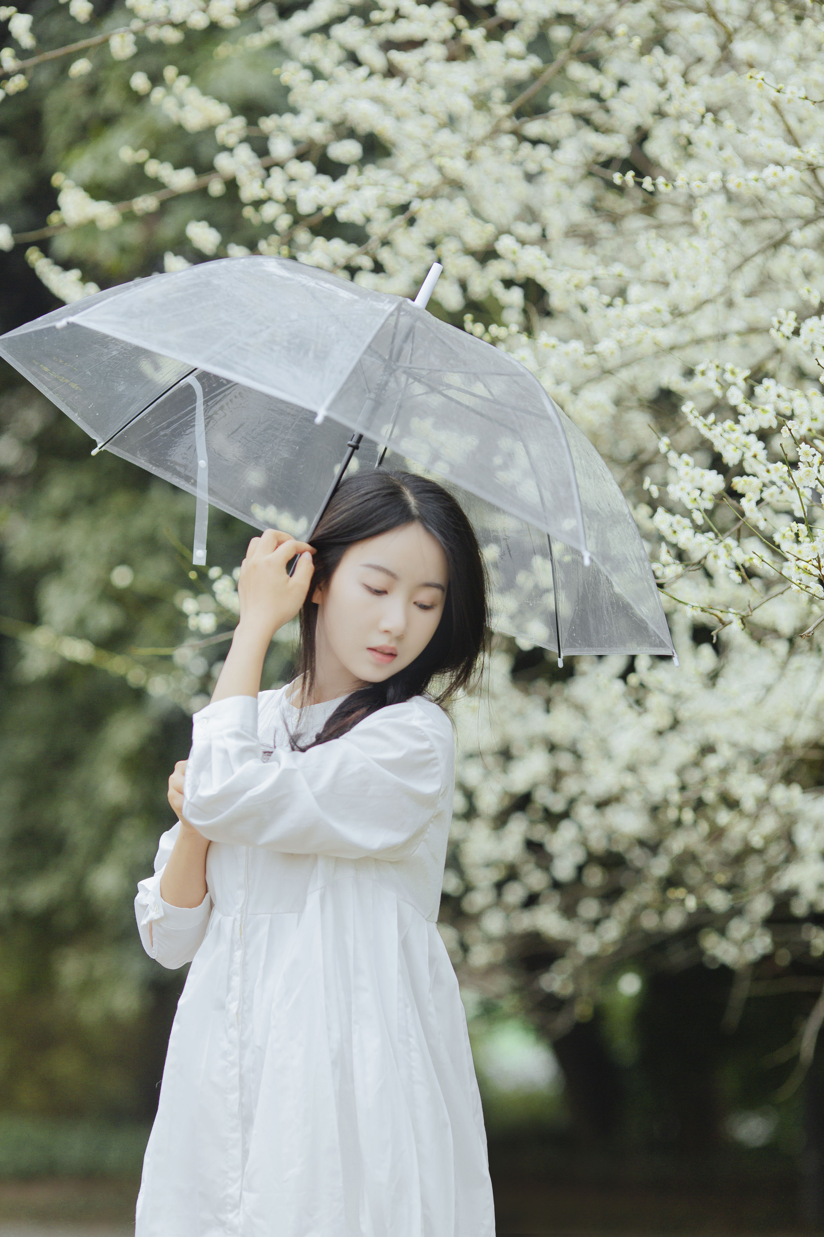 花间 清纯 小清新 少女 花 模特 美图 唯美 优美 精美 治愈系 梅花 春天