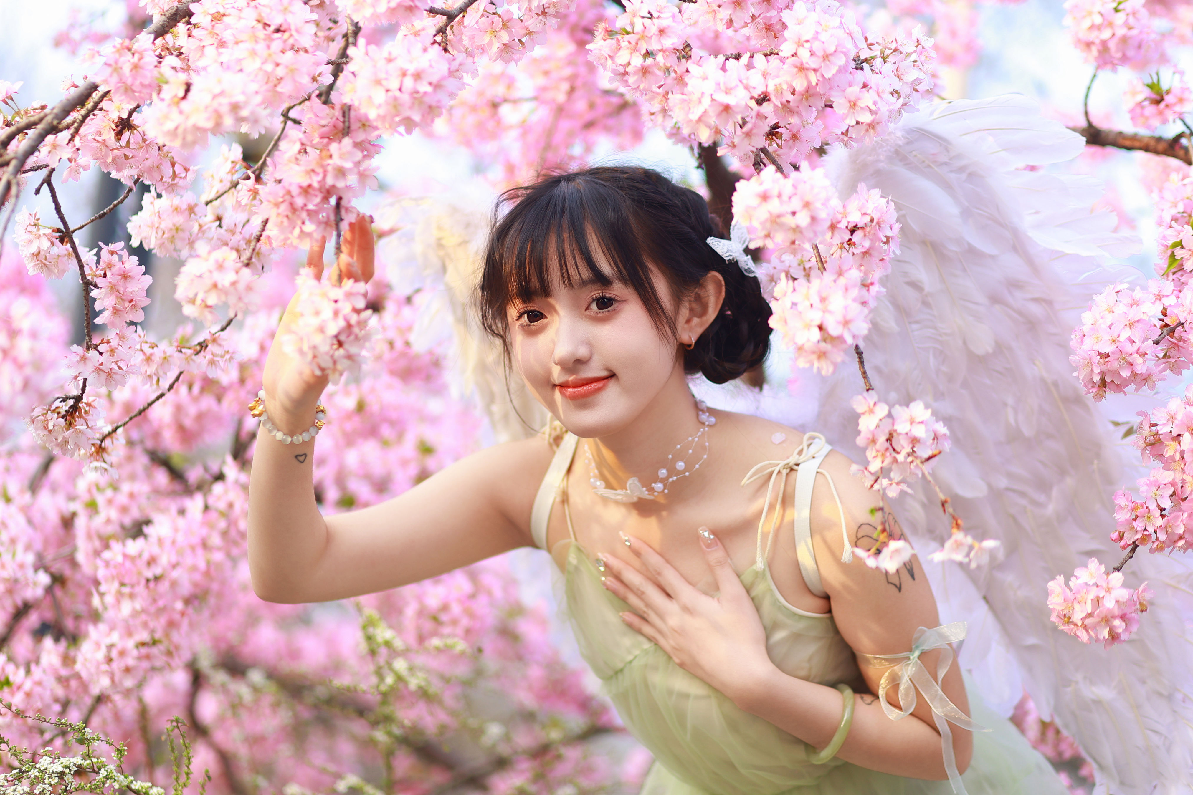 樱花日记 樱花 少女 花 写真 清纯 天使