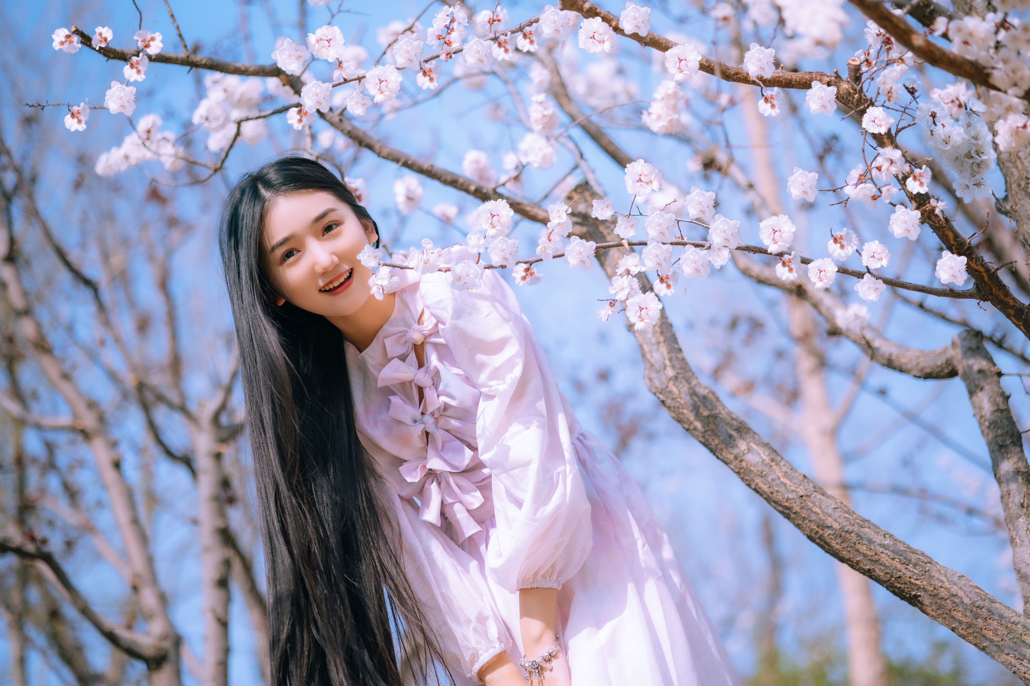 桃花少女 少女 清纯 樱花 高颜值 女生