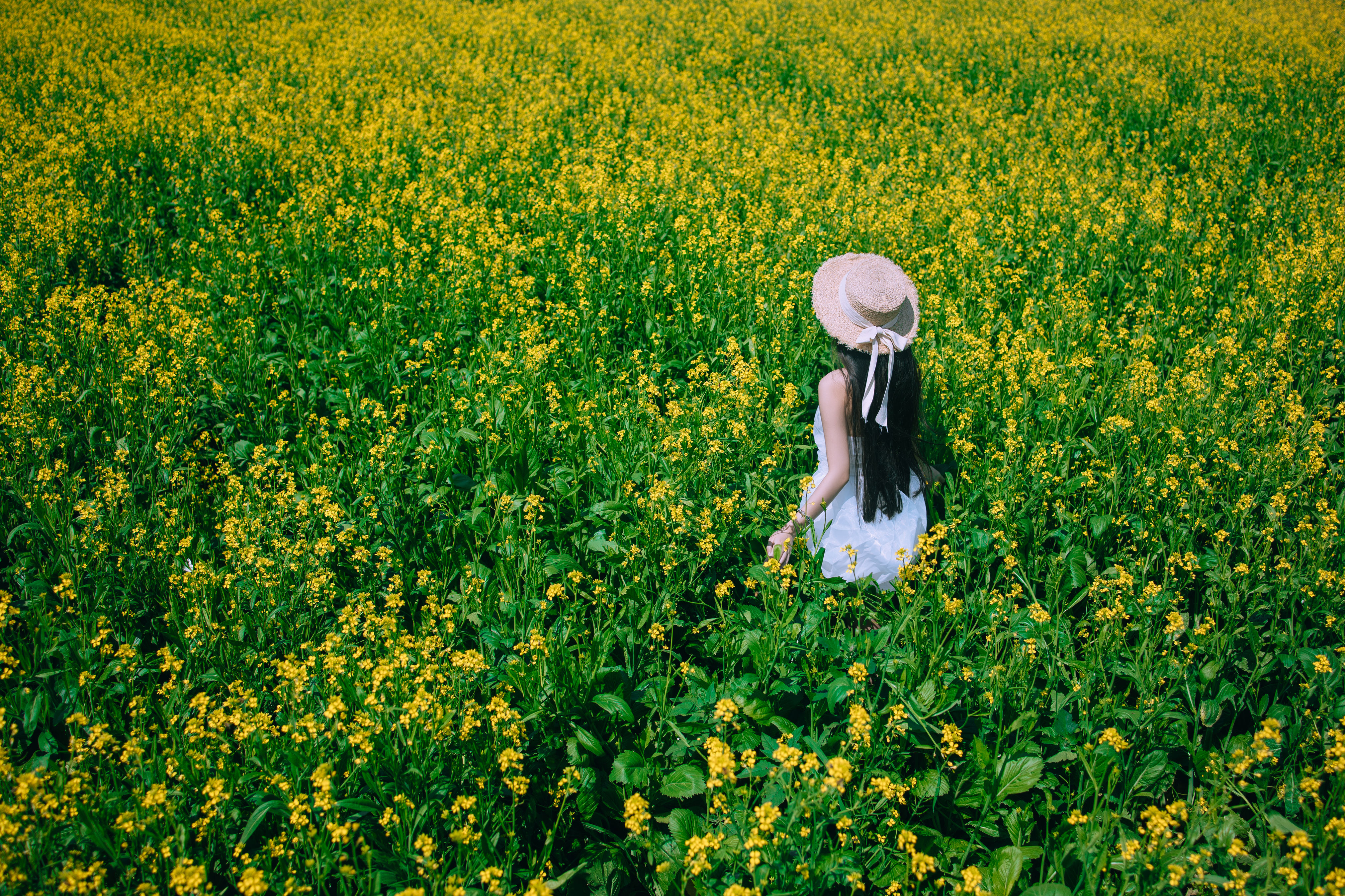 少女油菜花写真 花 美少女 小清新 青春