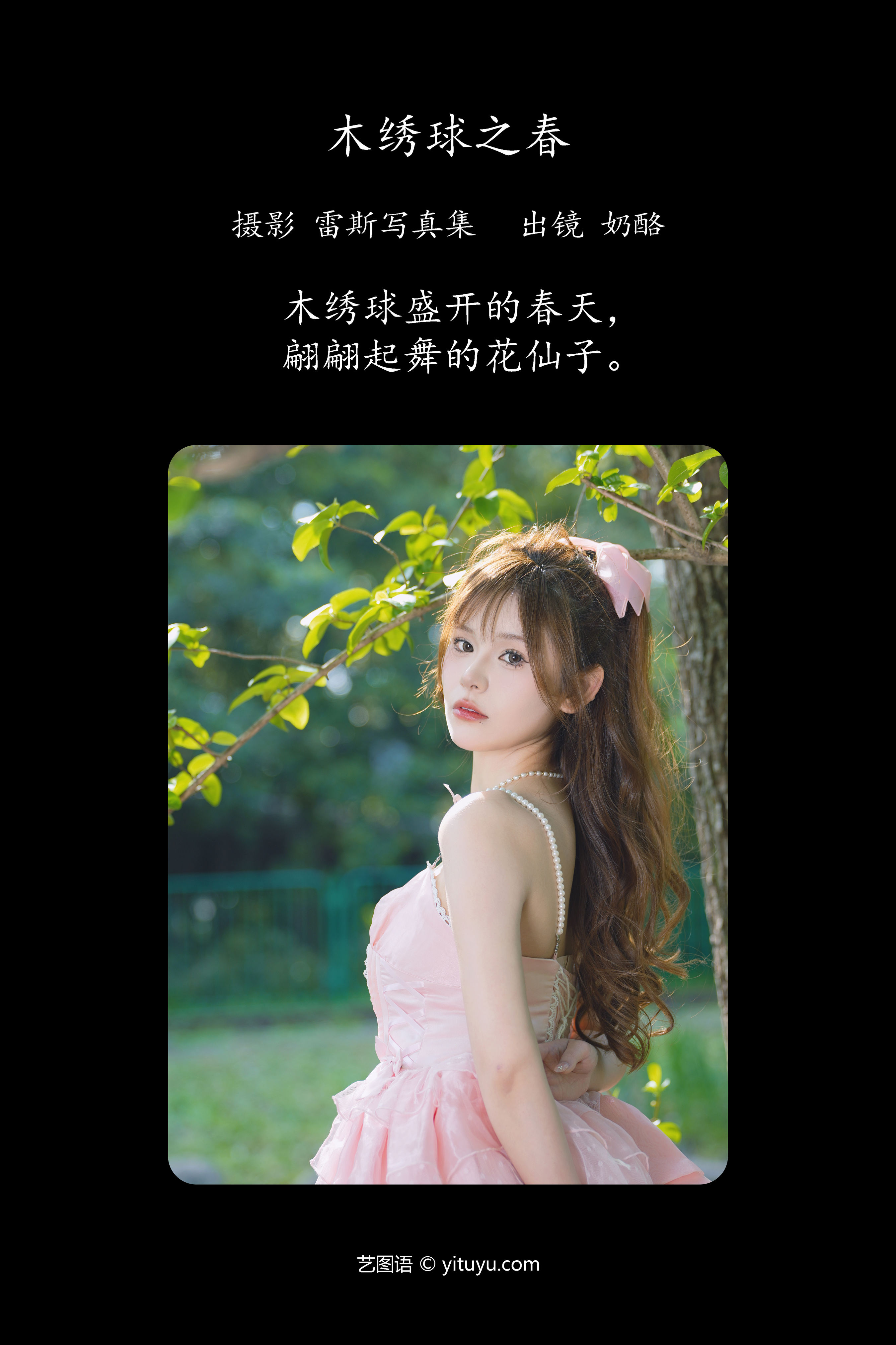 木绣球之春 小清新 小姐姐 小仙女 花 绣球花 女神