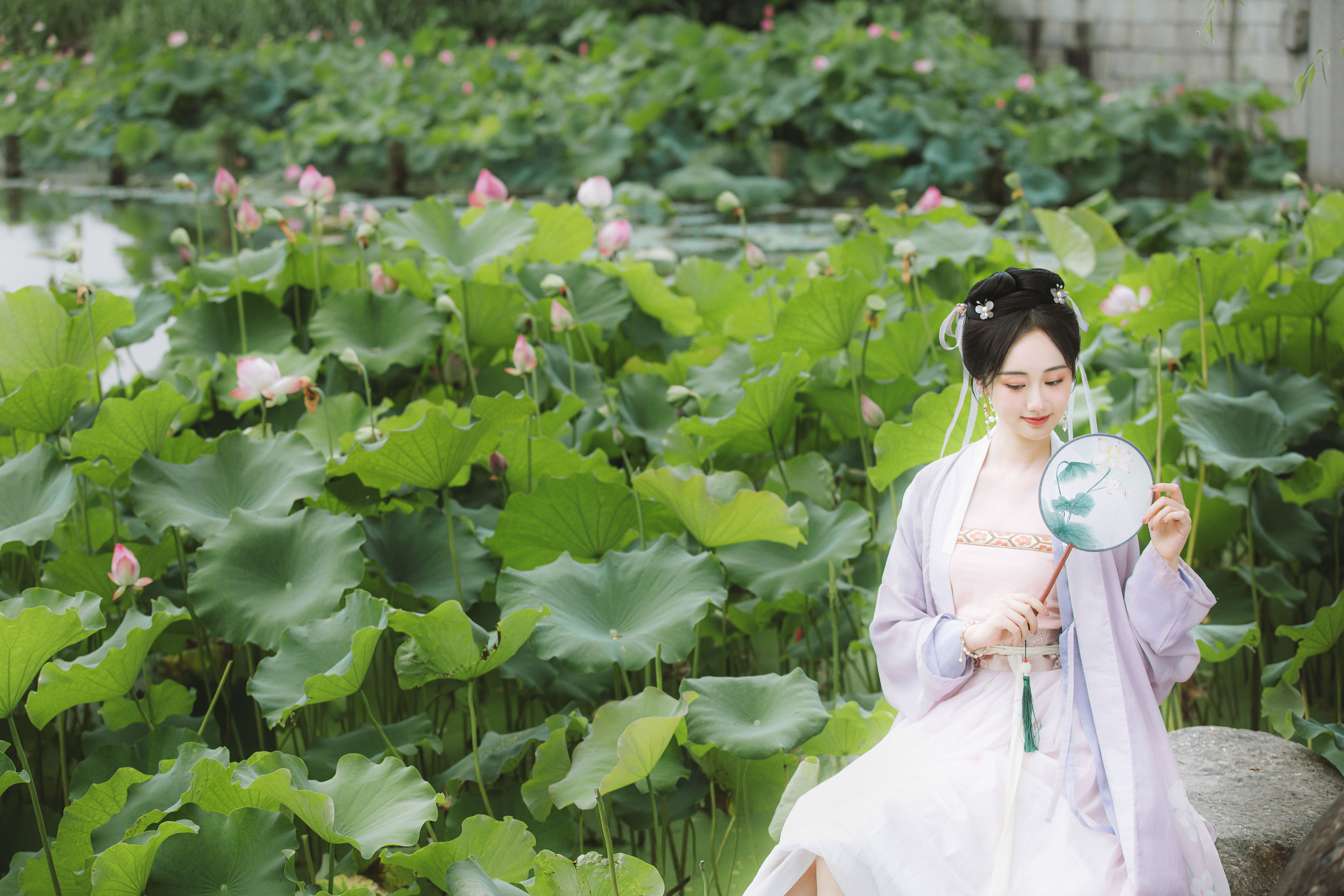 采荷 古风 汉服 荷花 小仙女 美人 小姐姐 小清新 绿色 莲花