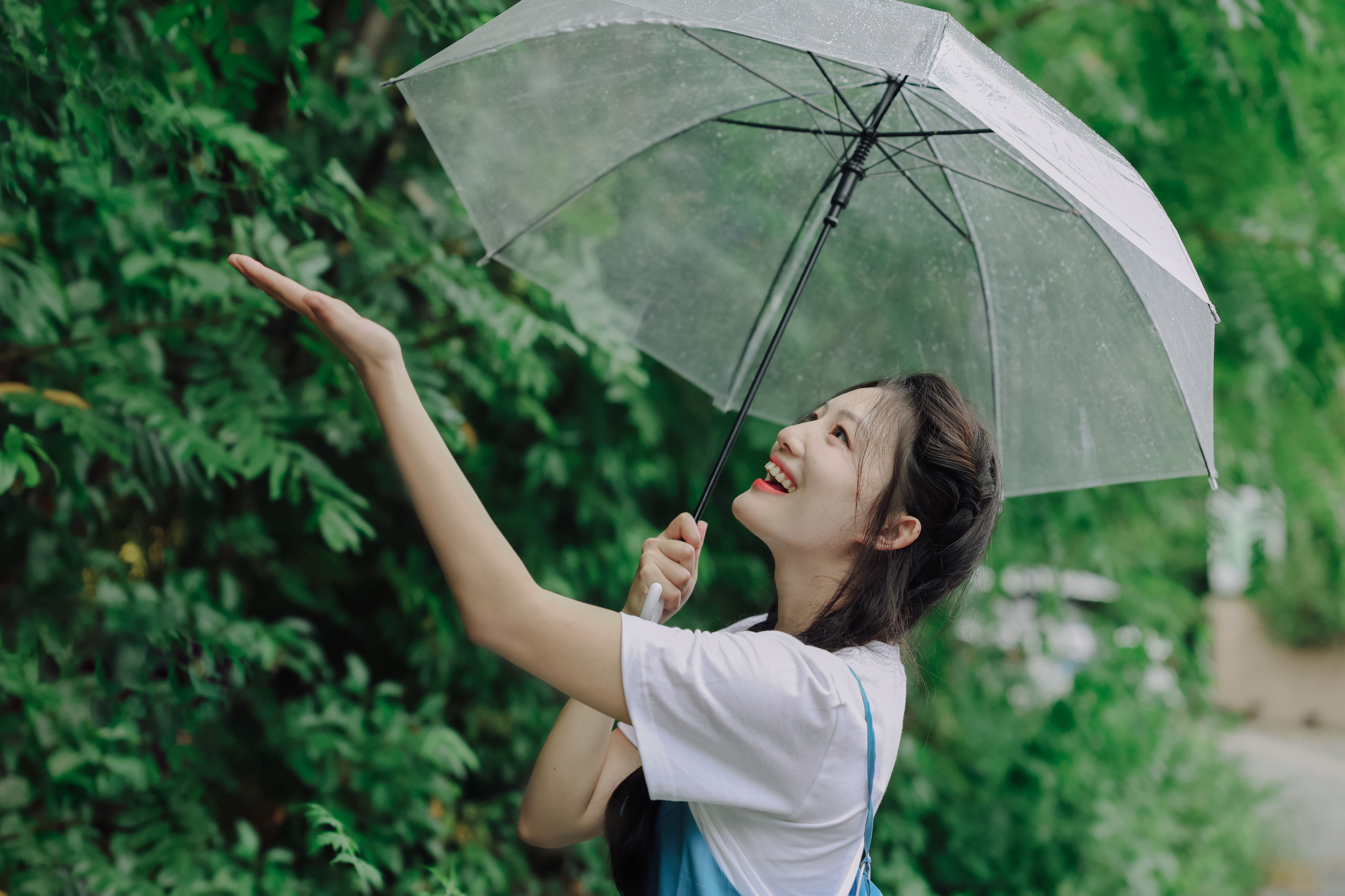 雨后漫步