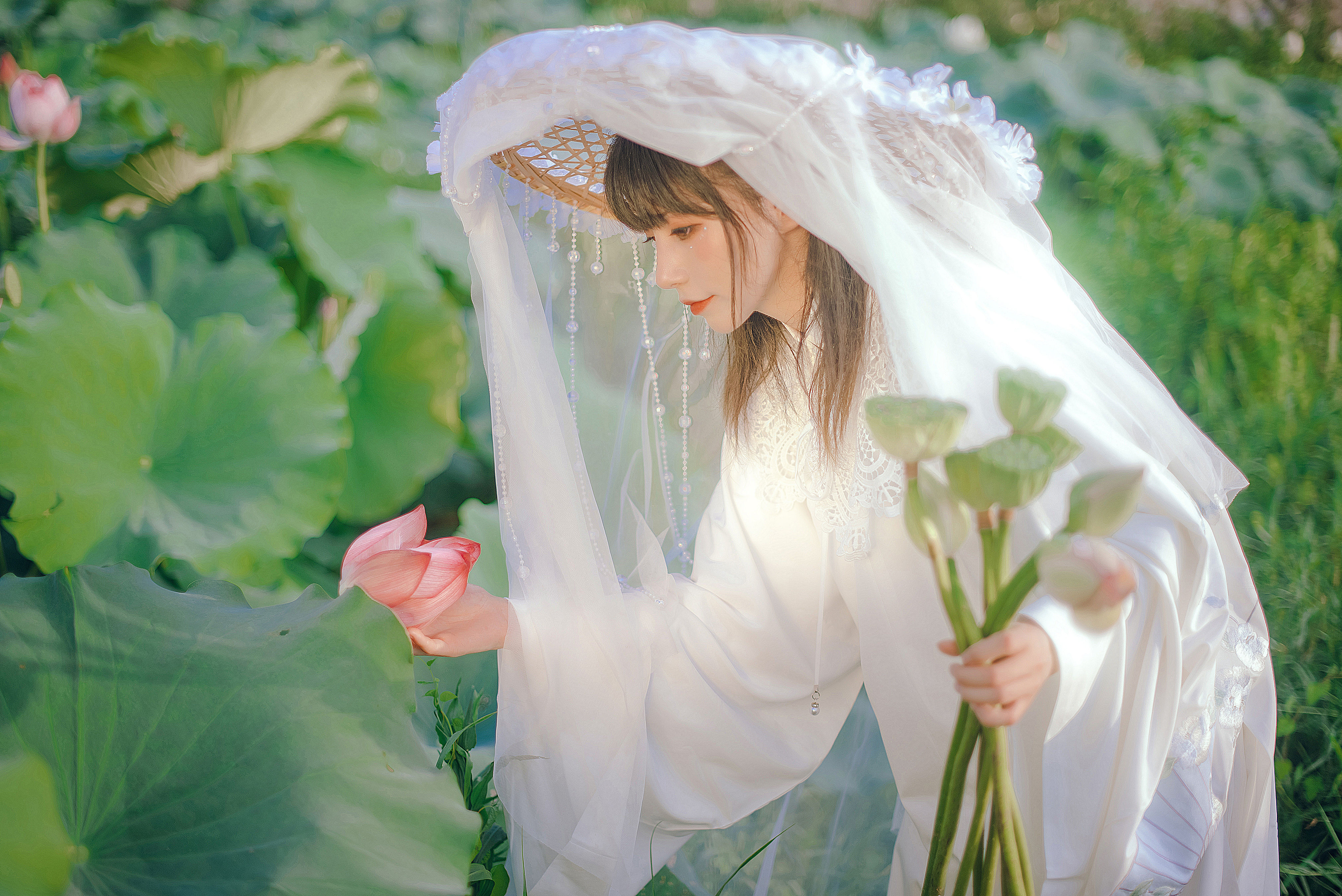 行走世间 荷花 仙女 古风 摄影 唯美