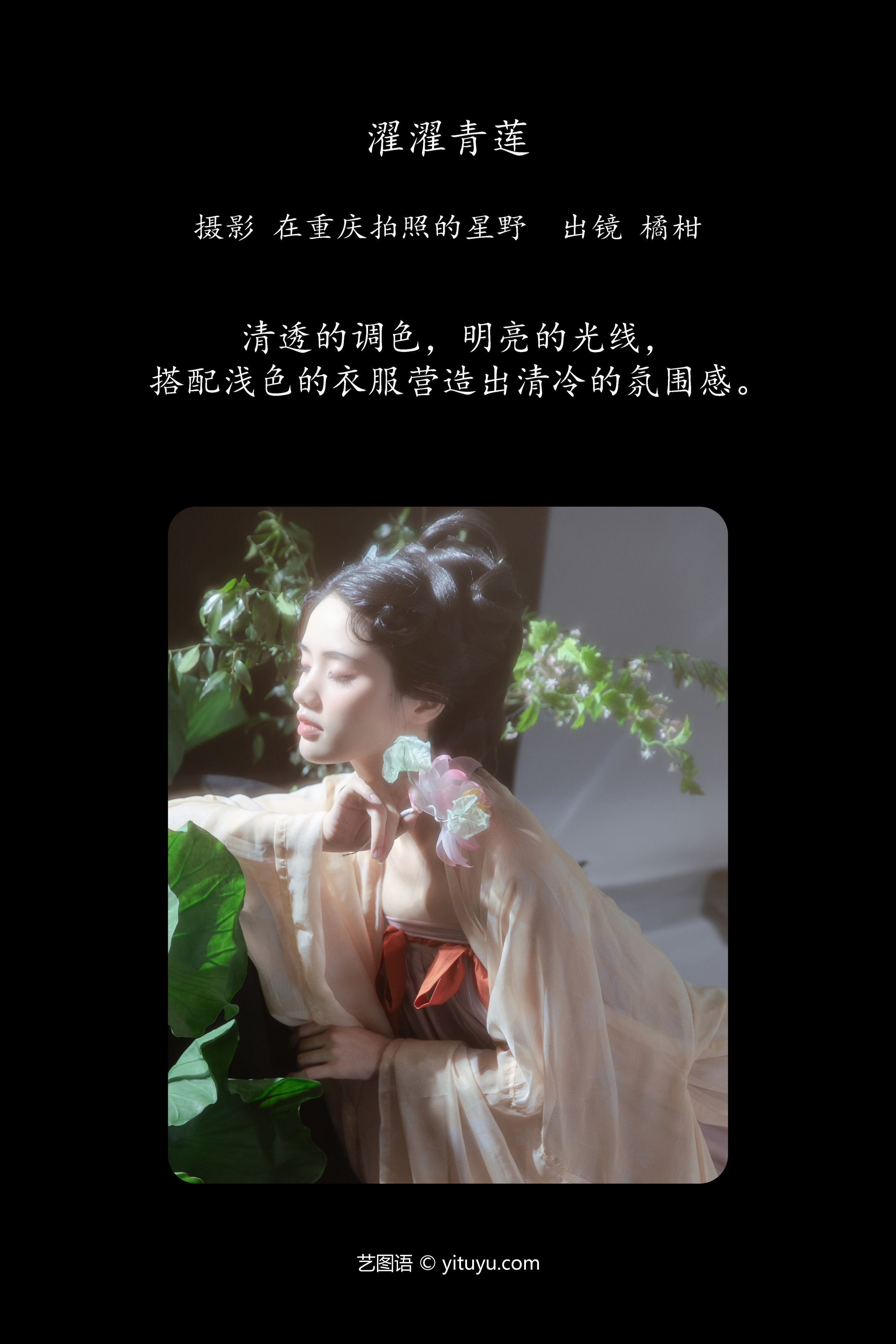 濯濯青莲 清冷 莲花 艺术 美人 国风 汉服