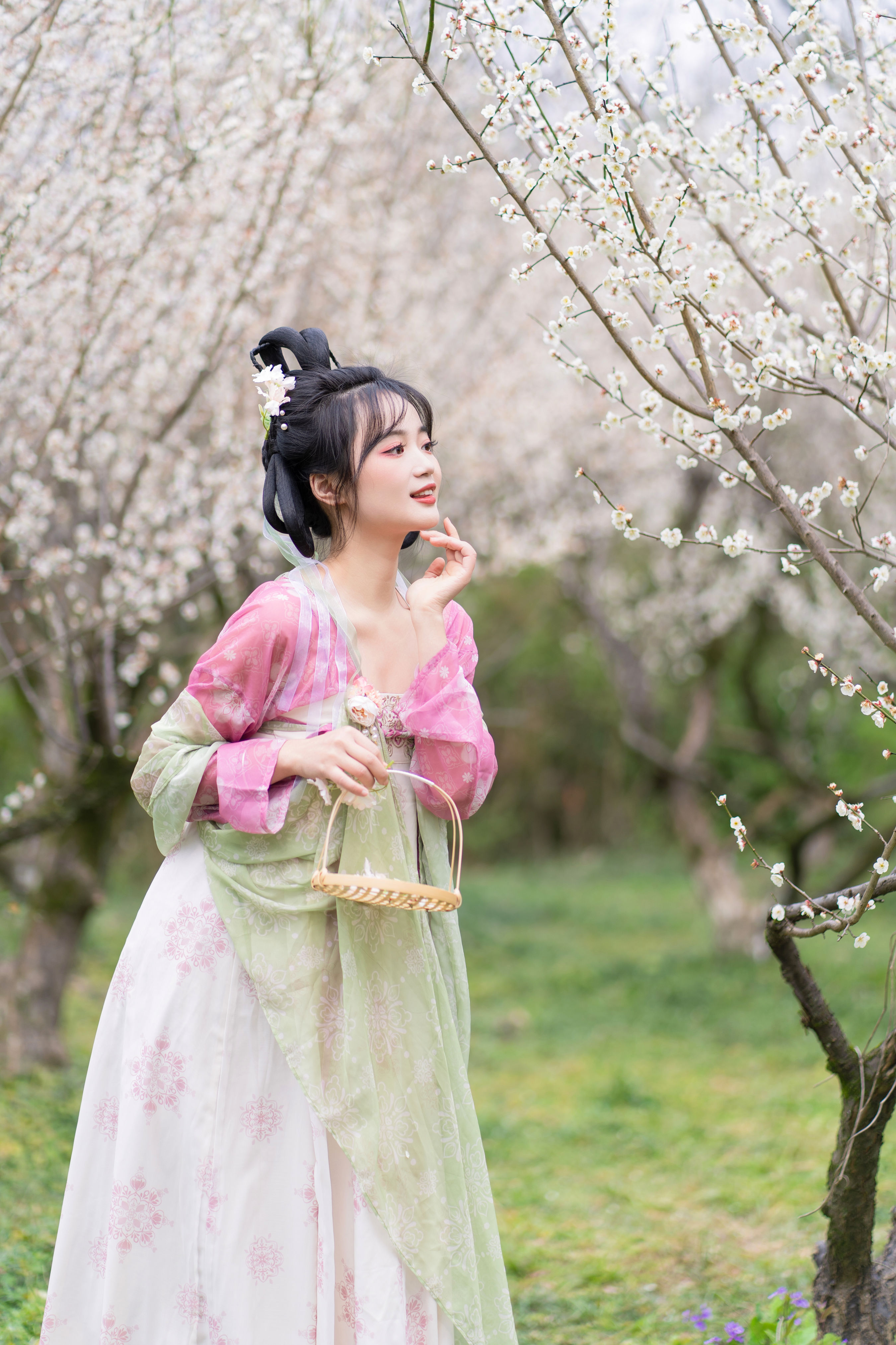 风有约 花不误 汉服 姑娘 可爱 梅花 花 少女